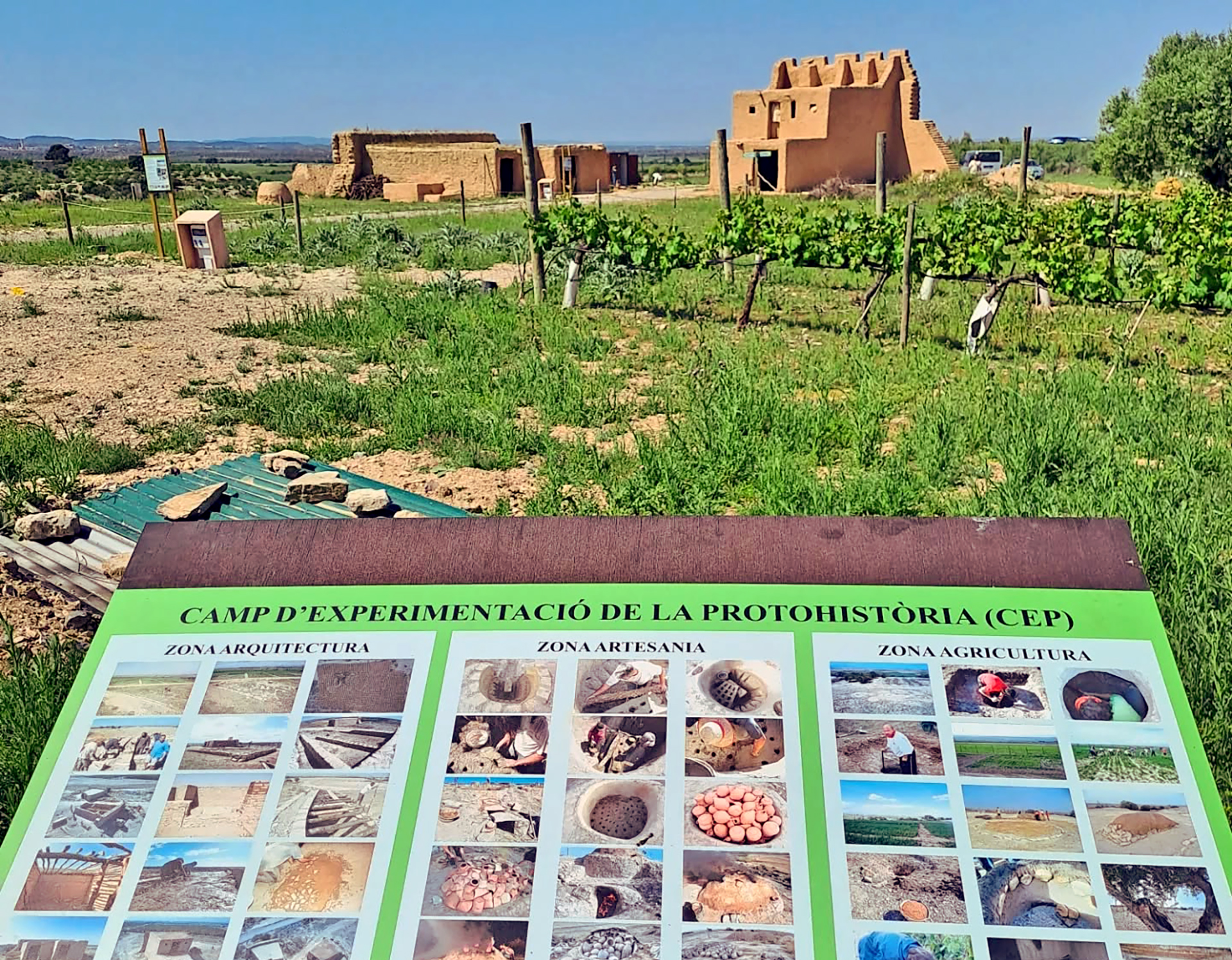 Visites guiades, tallers al Jaciment Iber Els Estinclells de Verdú i paquets turístics a Verdú