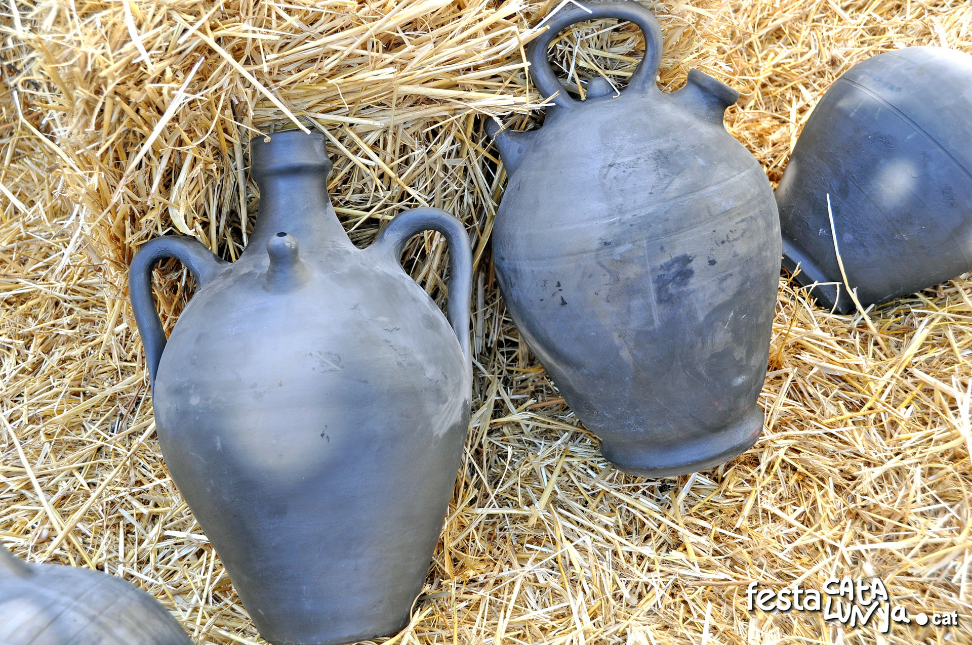 Visites Guiades a Cal Berlí, espai de la ceràmica negra de Verdú