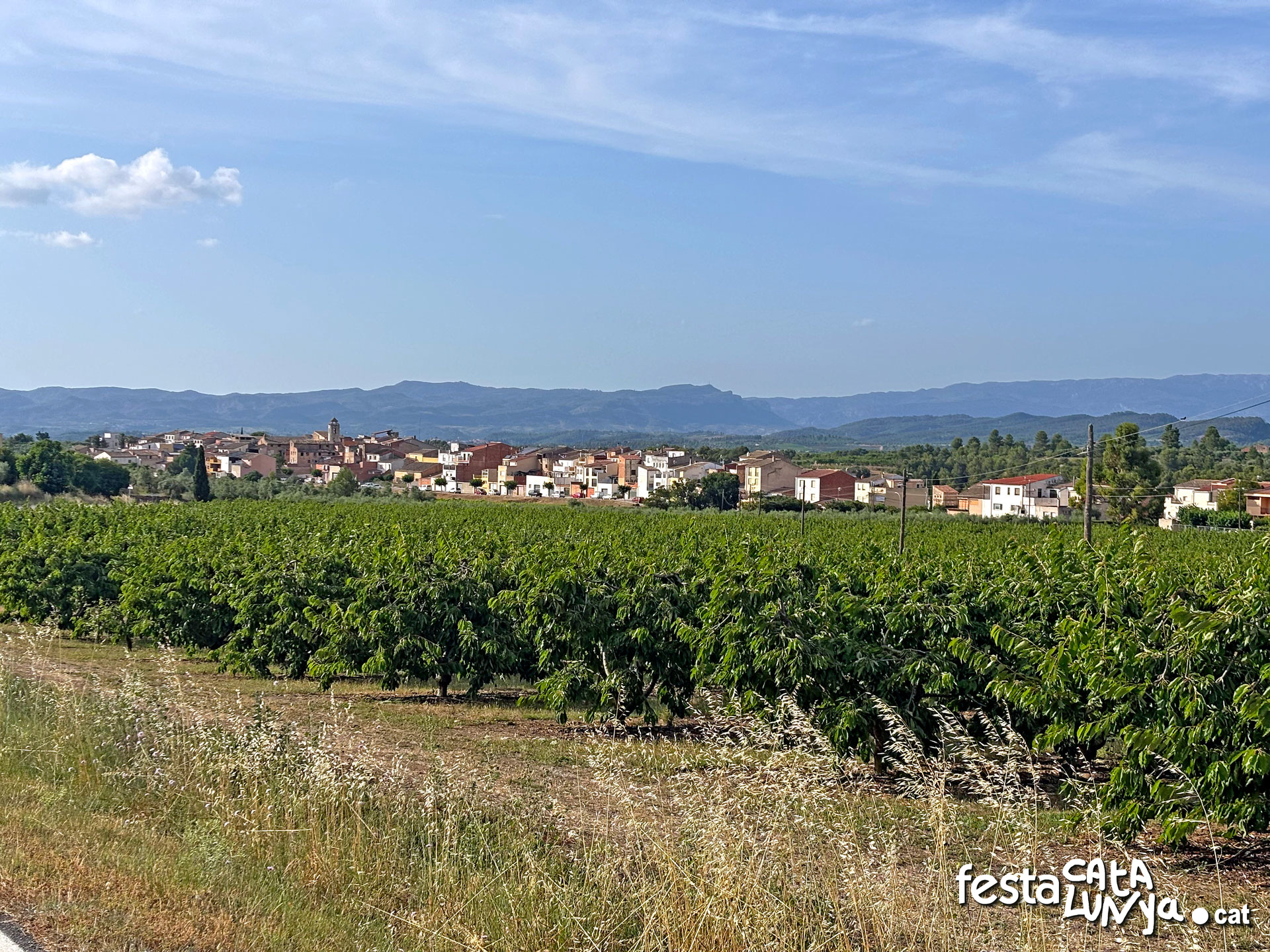 Tivissa - Vista panoràmica del poble de la Serra d'Almos