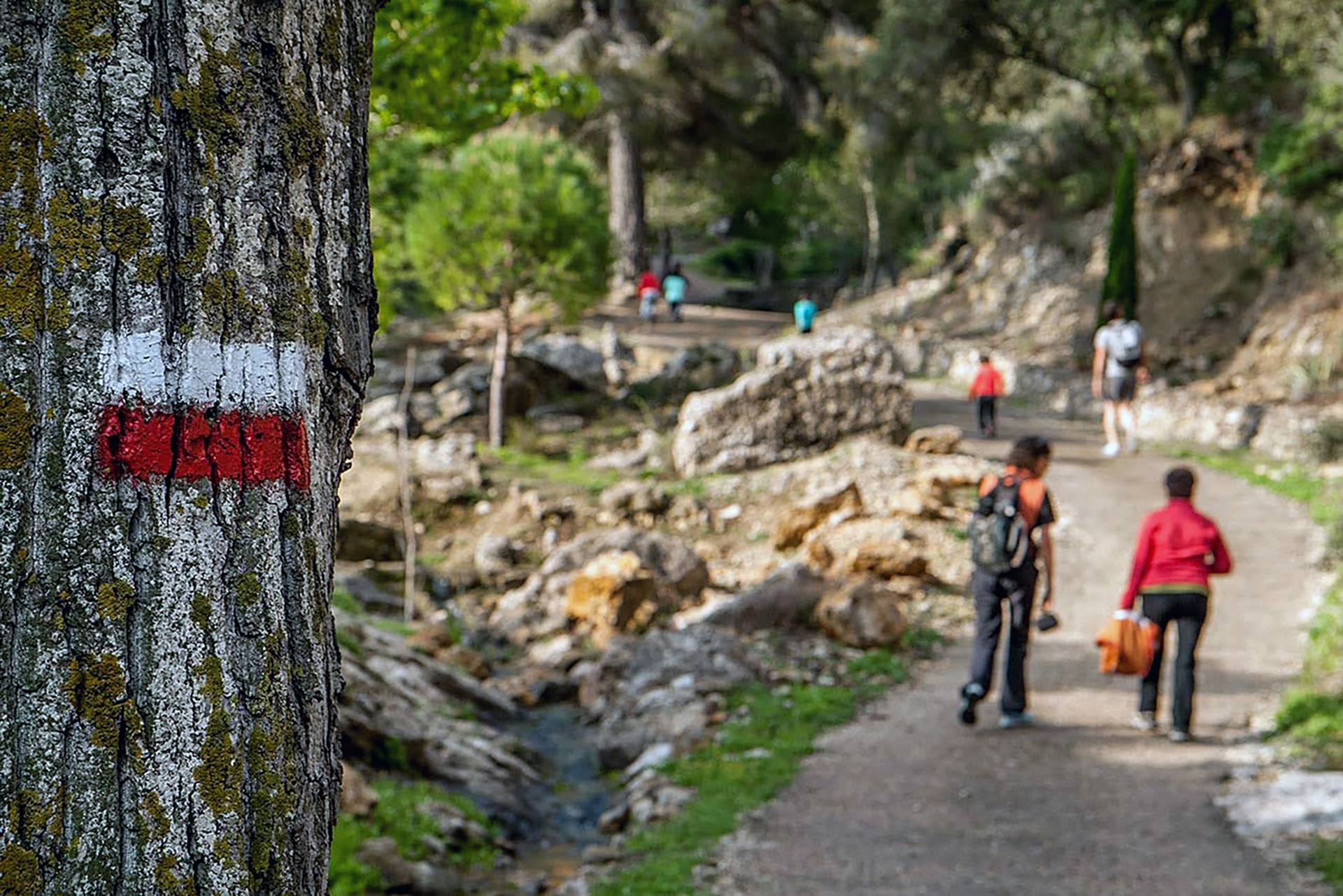Tivissa - Ermita de Sant Blai (Foto: Ajuntament)