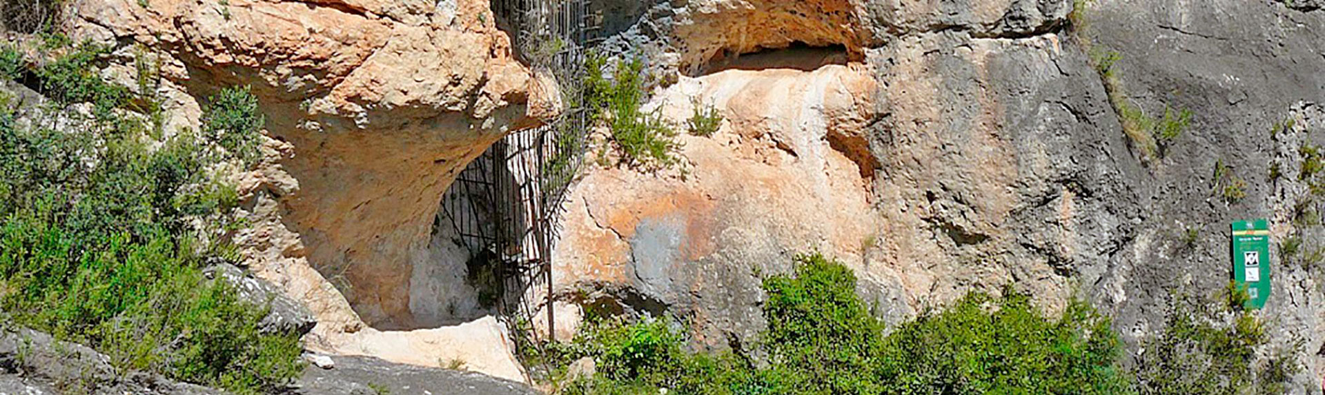 Tivissa - Pintures rupestres del Barranc de les Coves de Vilella (Foto: Departament Cultura de la Generalitat de Catalunya)