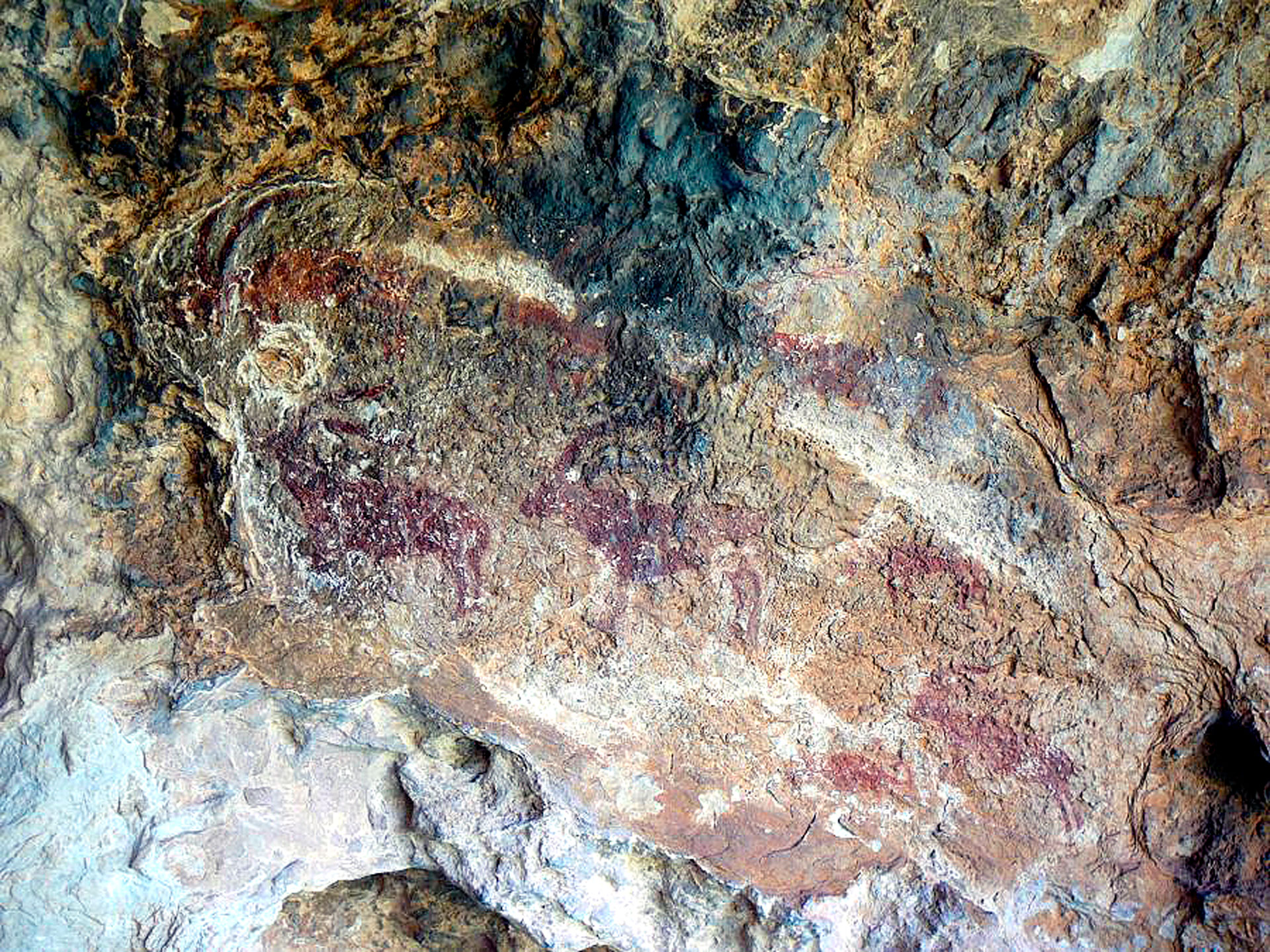 Pintures rupestres del Barranc de les Coves de Vilella de Tivissa