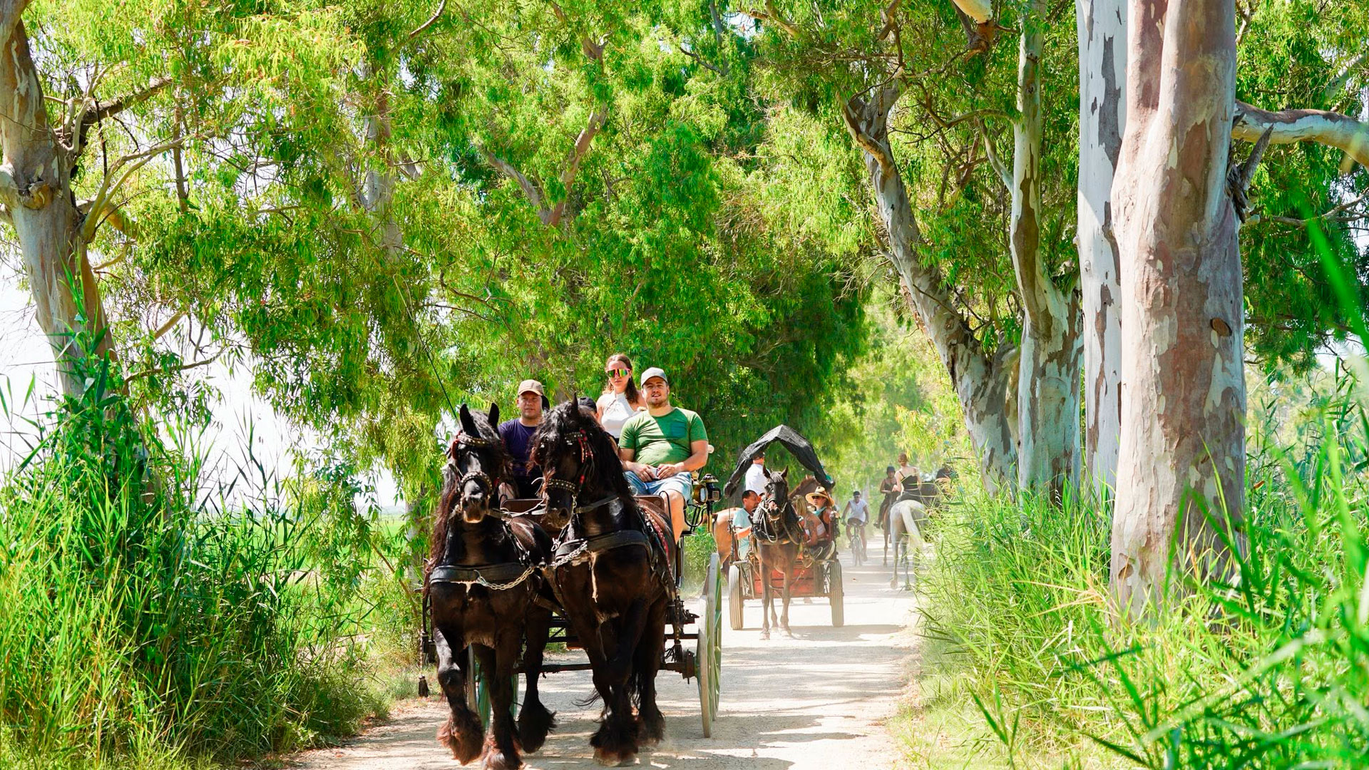 Romeria de Sant Pere - Sant Jaume d'Enveja (Foto: Ajuntament)