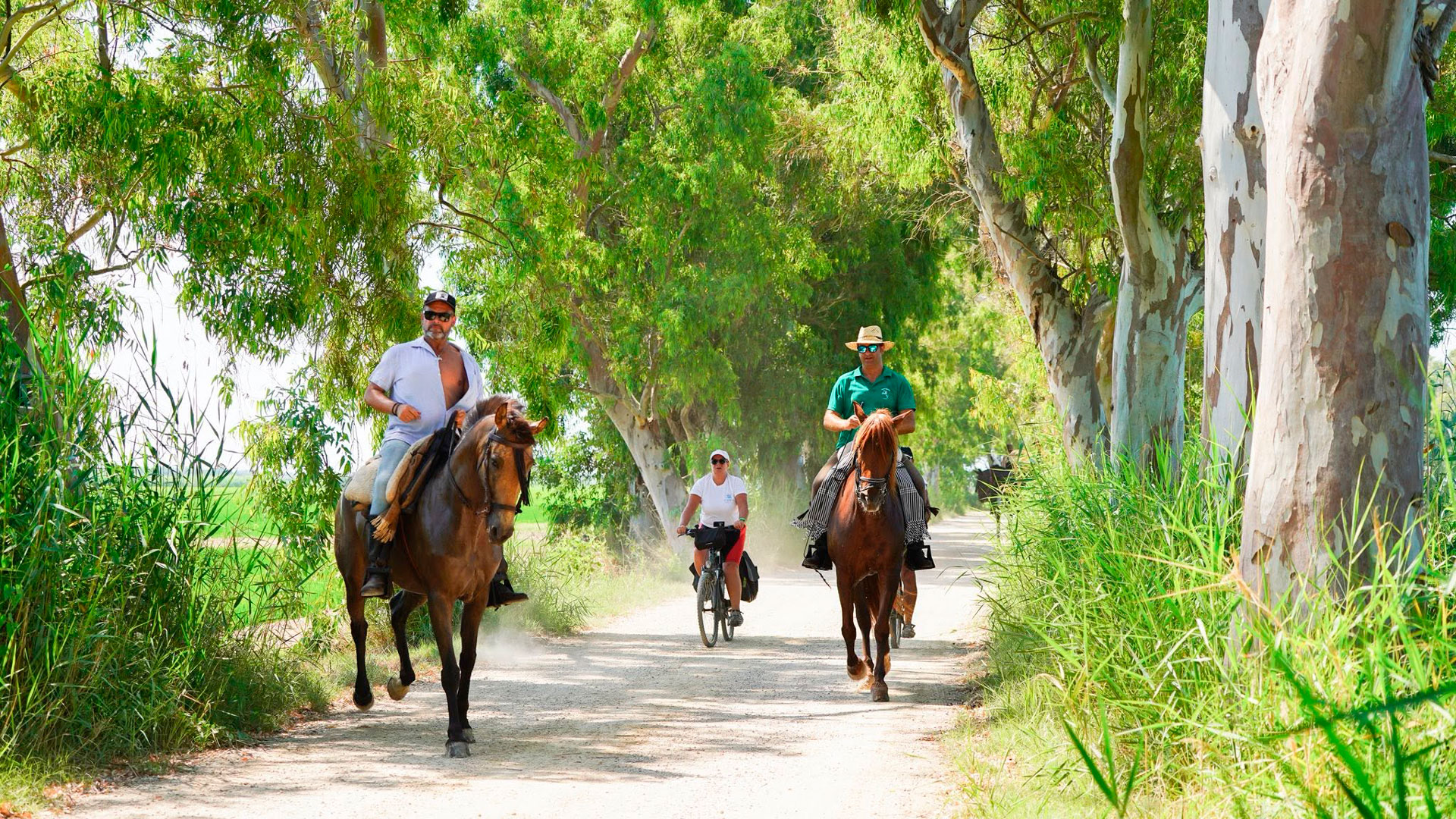 Romeria de Sant Pere - Sant Jaume d'Enveja (Foto: Ajuntament)