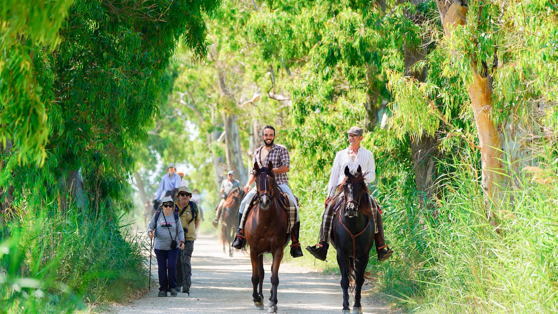 Romeria de Sant Pere - Sant Jaume d'Enveja (Foto: Ajuntament)