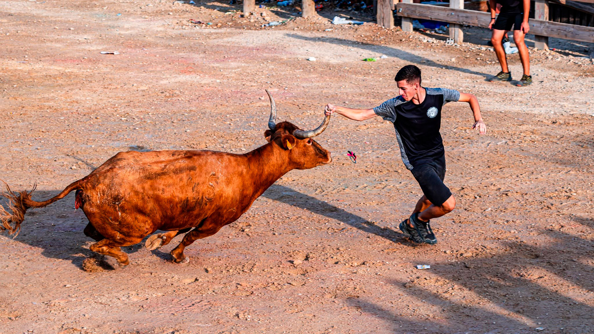 Festes Majors - Sant Jaume d'Enveja (Foto: Ajuntament)