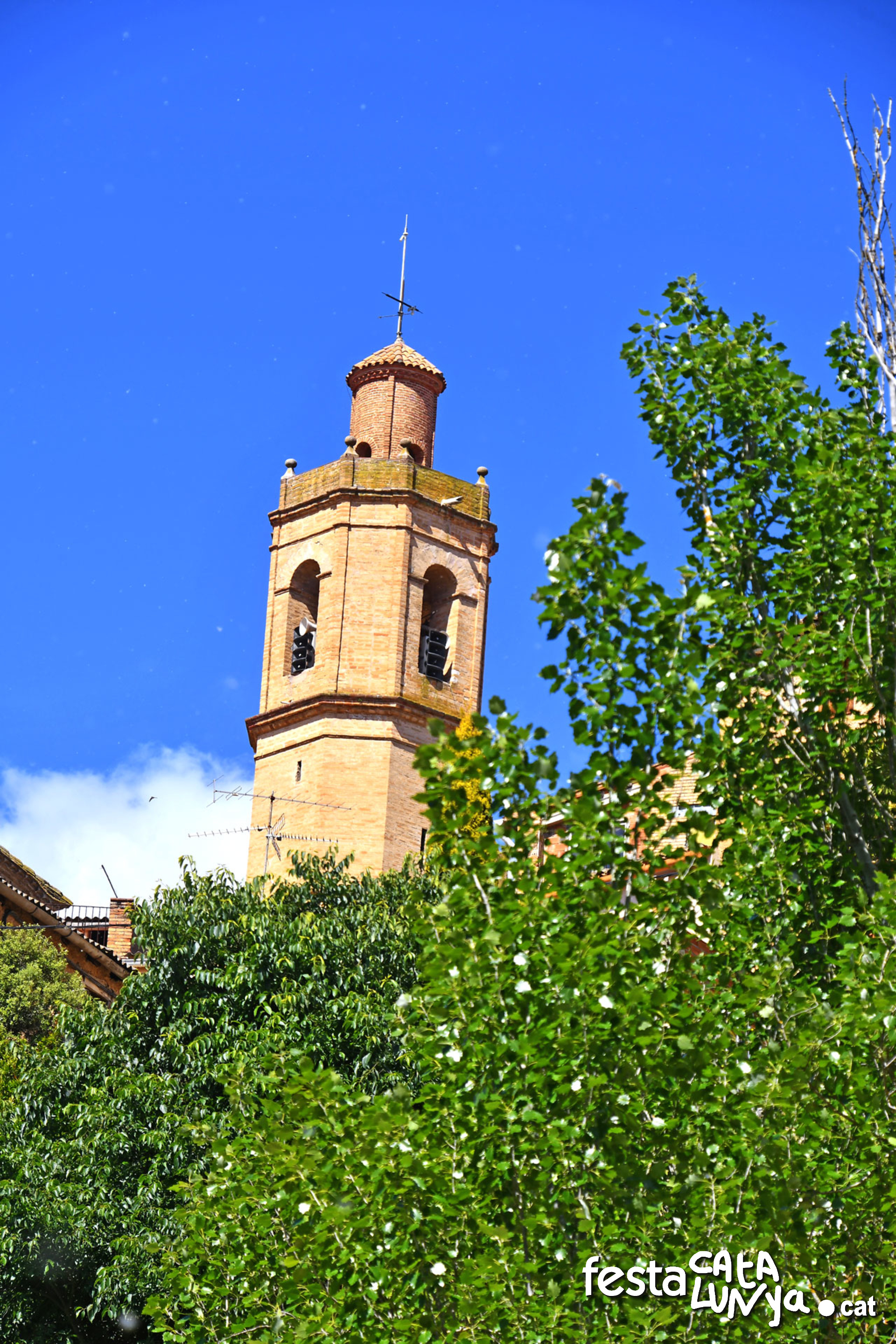 Església de la Mare de Déu de l'Assumpció - La Palma d'Ebre