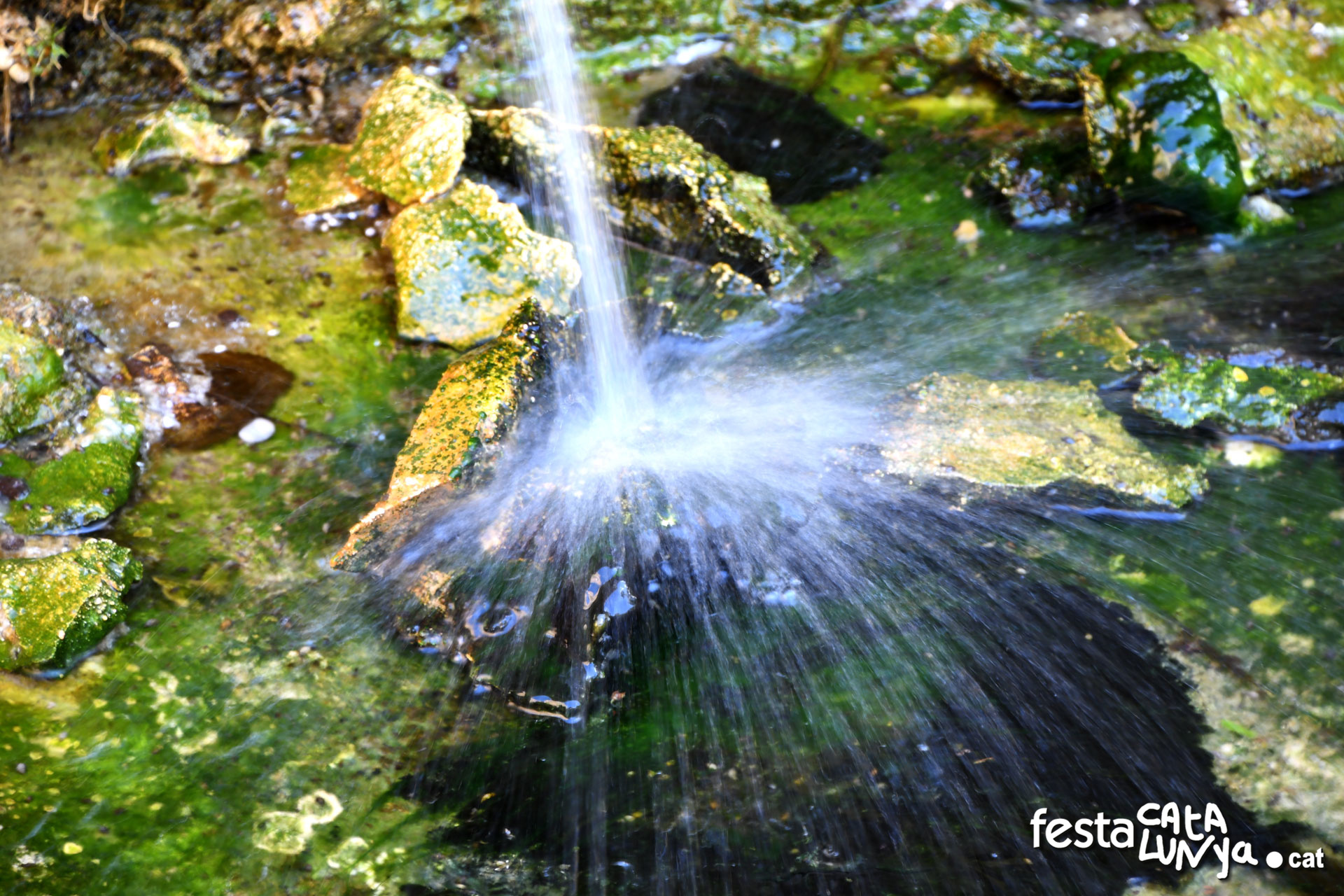 La Font Vella - La Palma d'Ebre