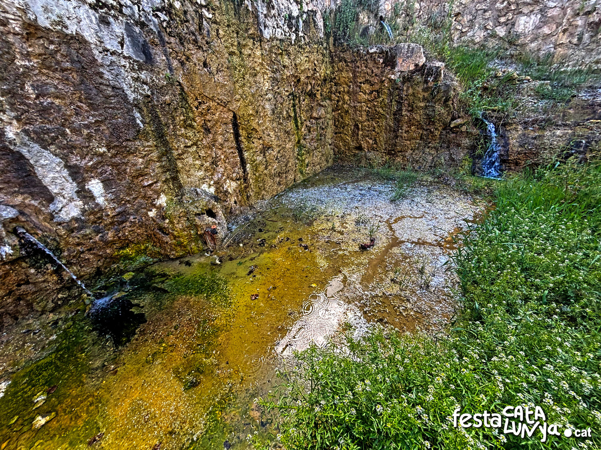 La Font Vella - La Palma d'Ebre