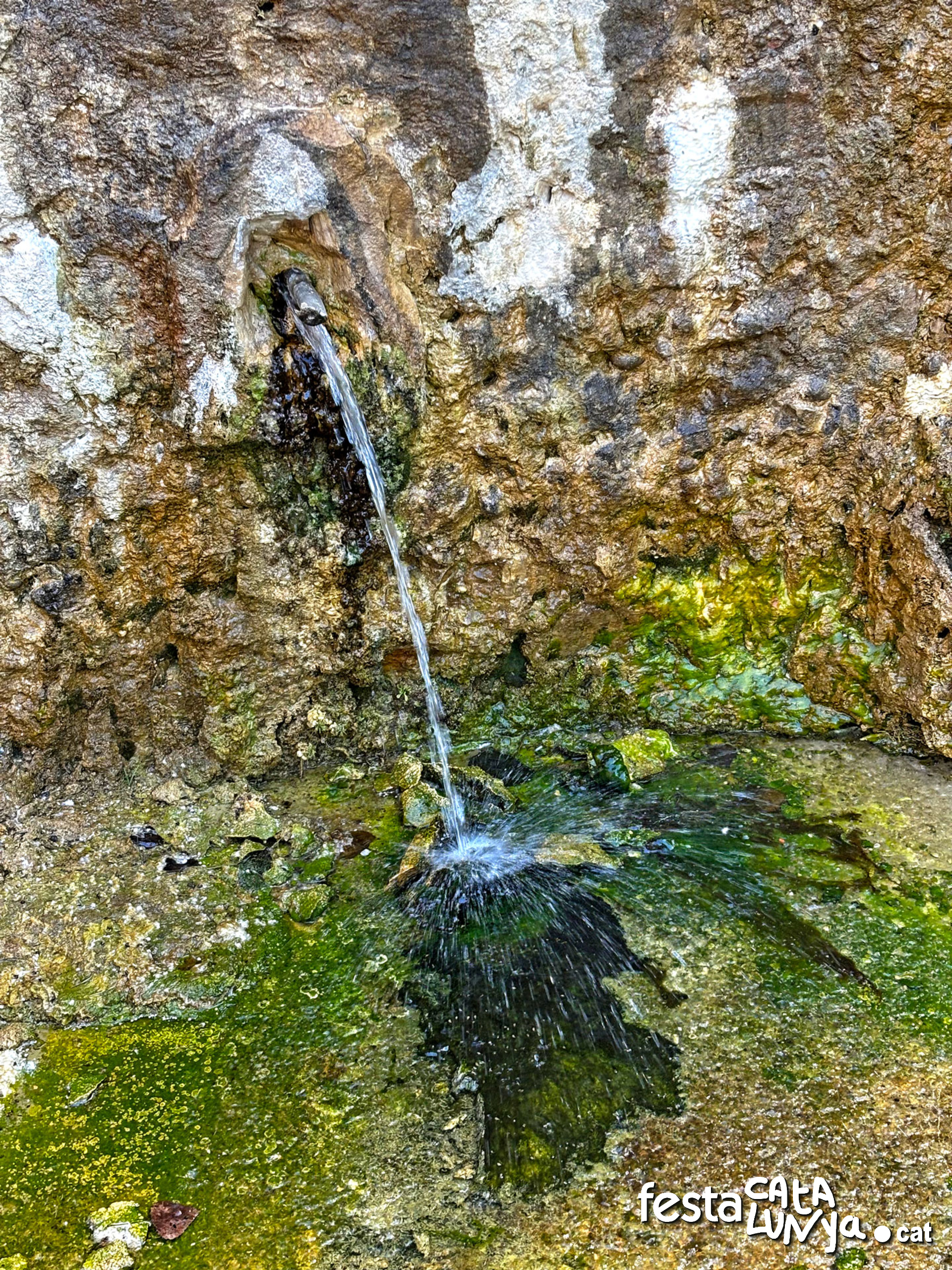 La Font Vella - La Palma d'Ebre