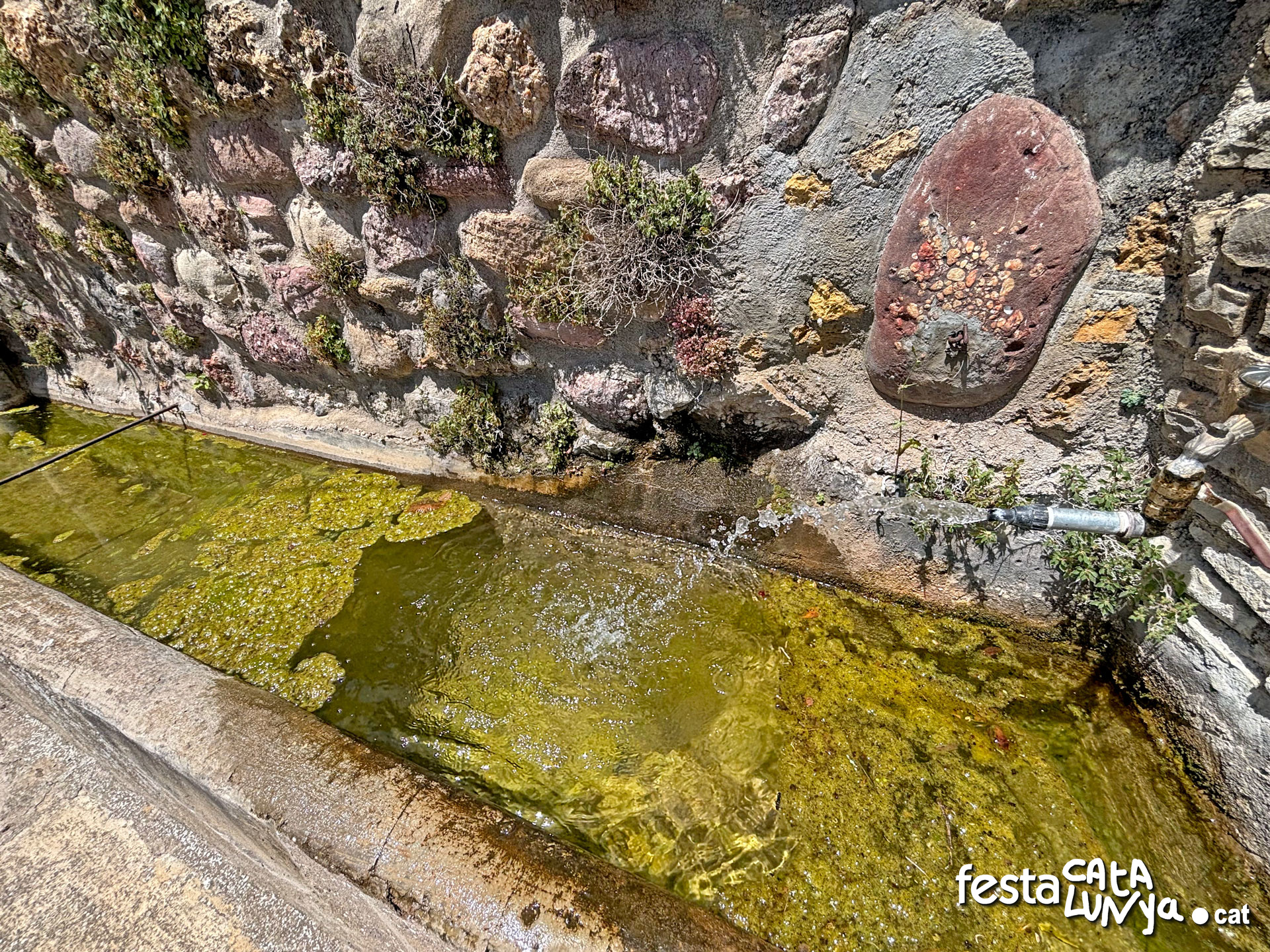 Senterada - Font i abeurador del poble de Burguet
