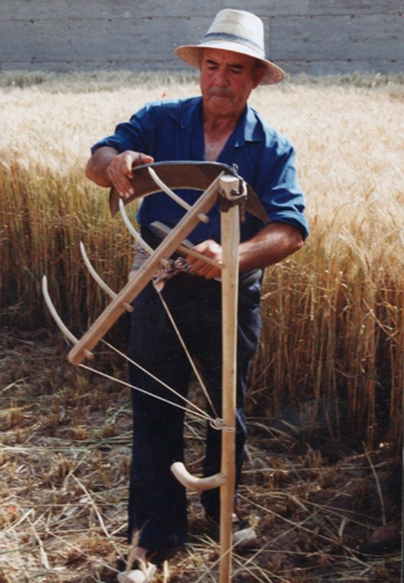Festes del Segar i Batre - La Fuliola (Foto: Ajuntament)