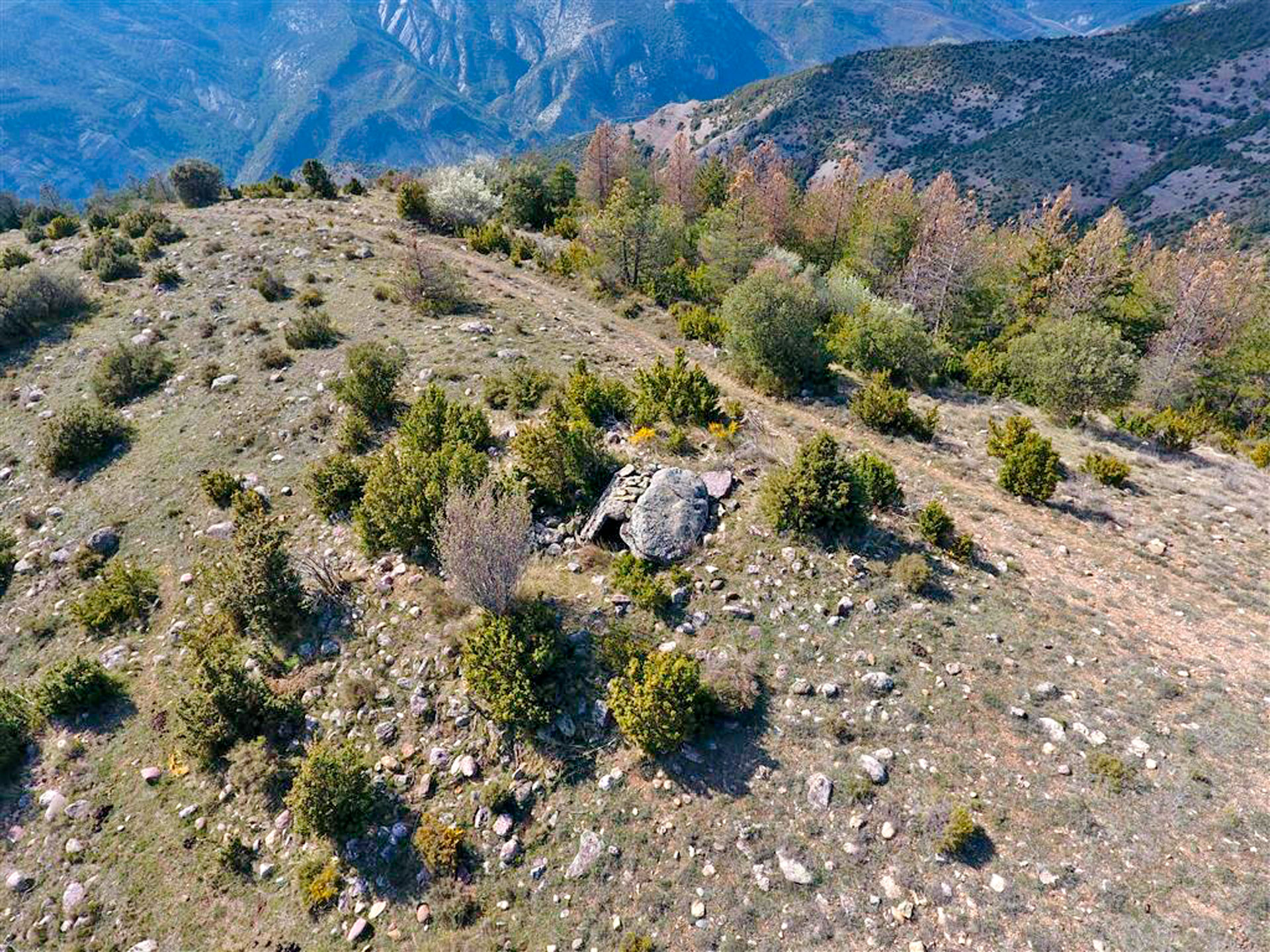 Monuments megalítics, dolmens i menhirs a Senterada ***