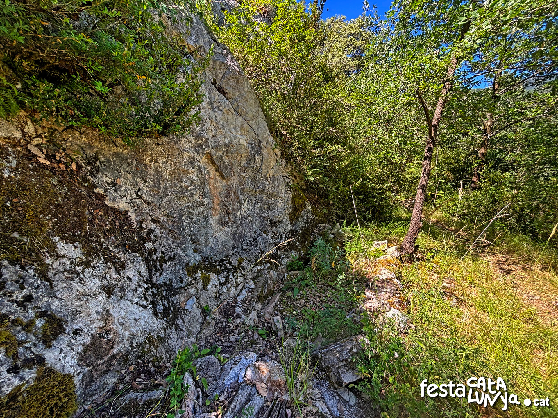 Safareig i cóm de Reguard a Senterada