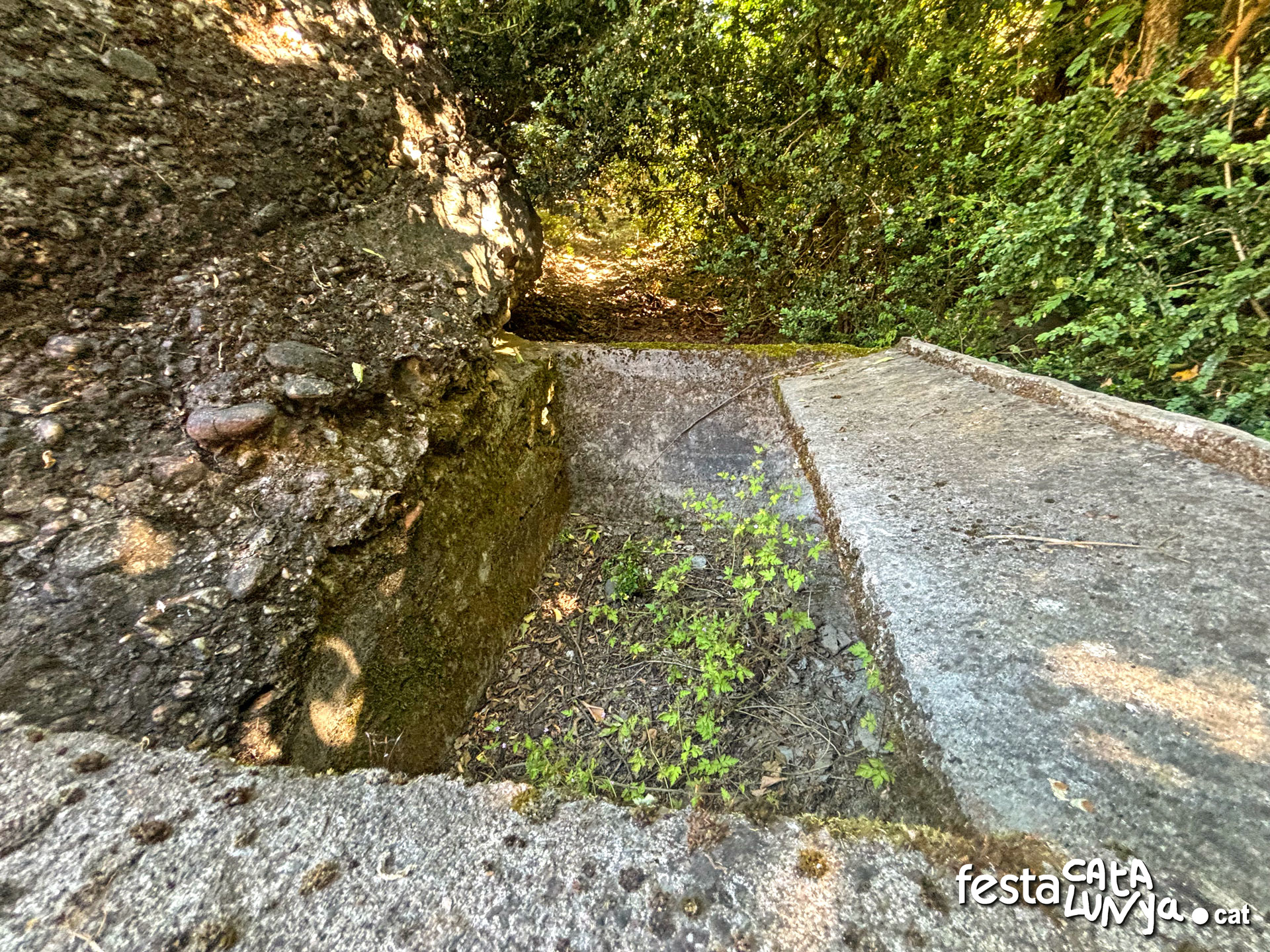 Safareig de Lluçà a Senterada