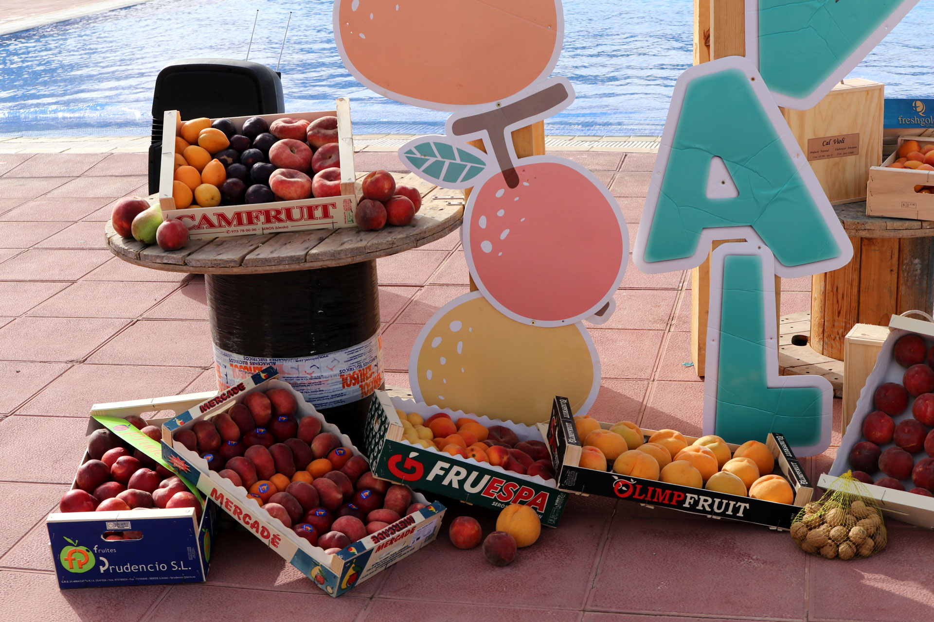 Fruit Music Festival a Seròs