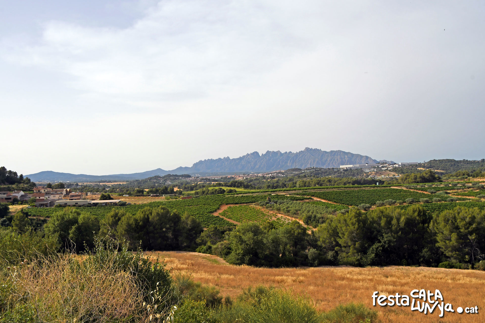 Sant Llorenç d'Hortons - Mirador de Sant Llorenç