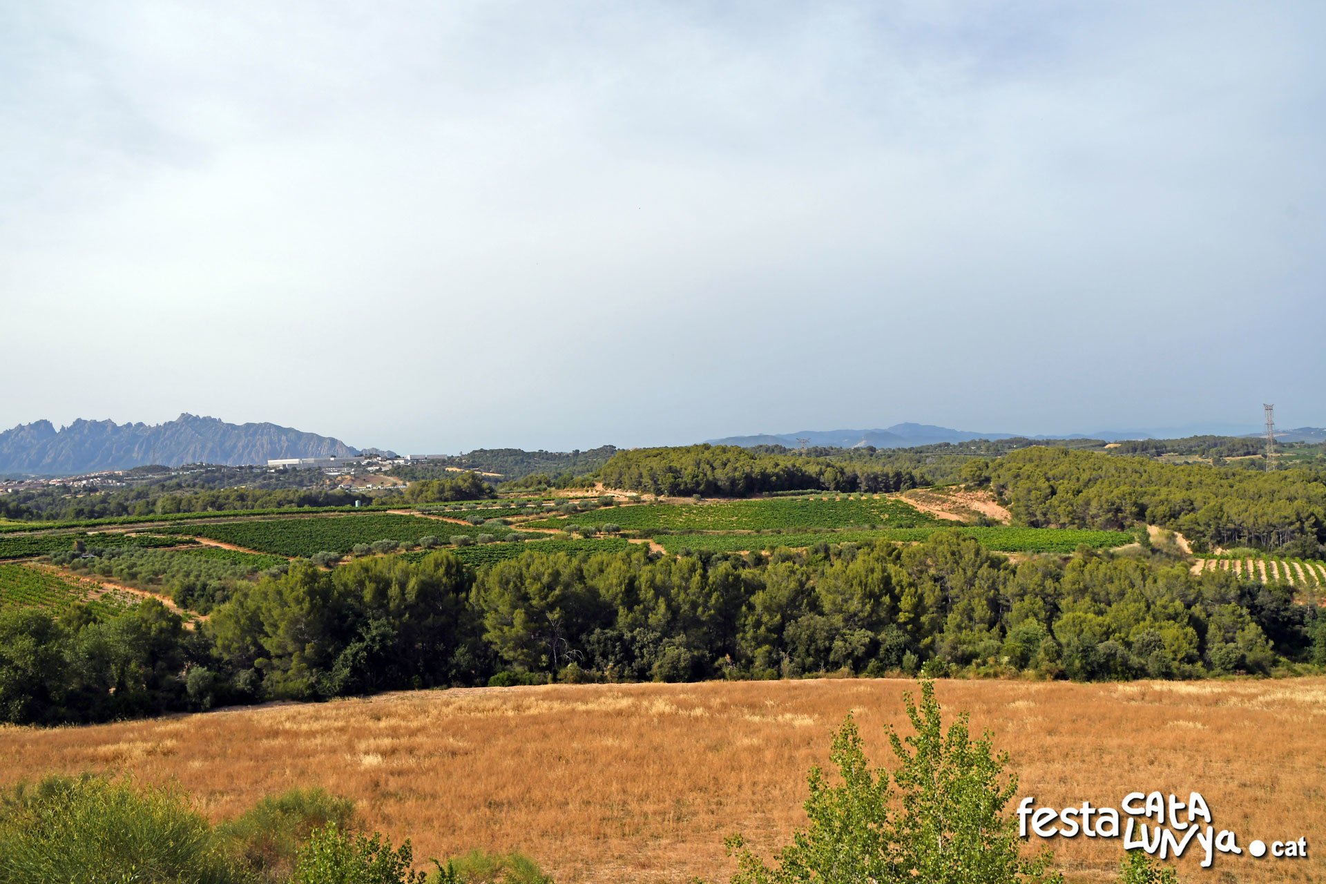 Sant Llorenç d'Hortons - Mirador de Sant Llorenç