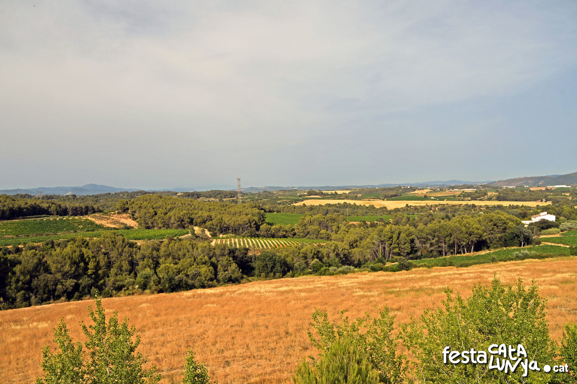 Sant Llorenç d'Hortons - Mirador de Sant Llorenç