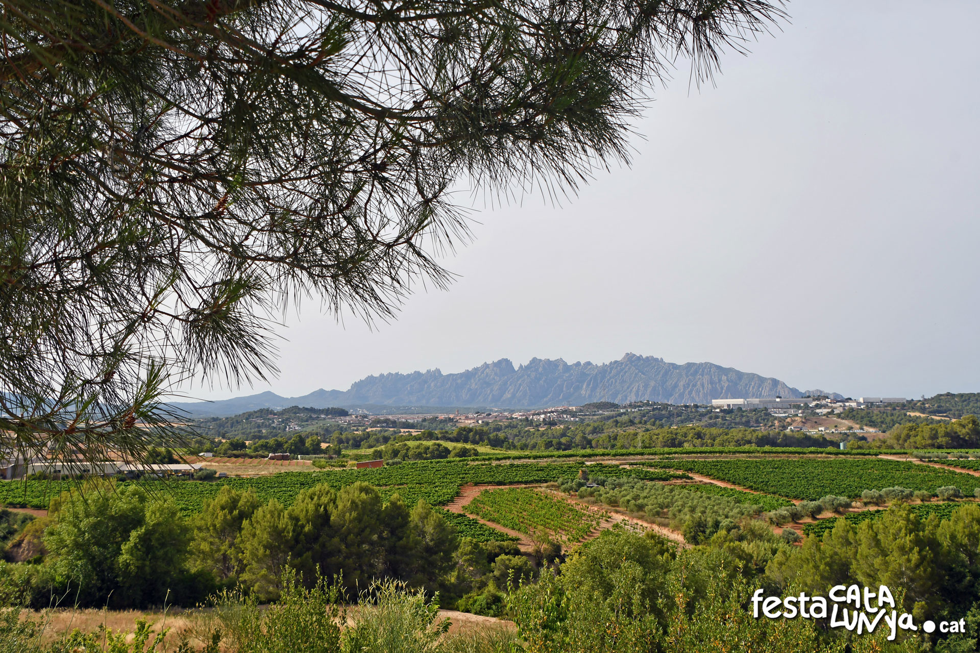 Sant Llorenç d'Hortons - Mirador de Sant Llorenç