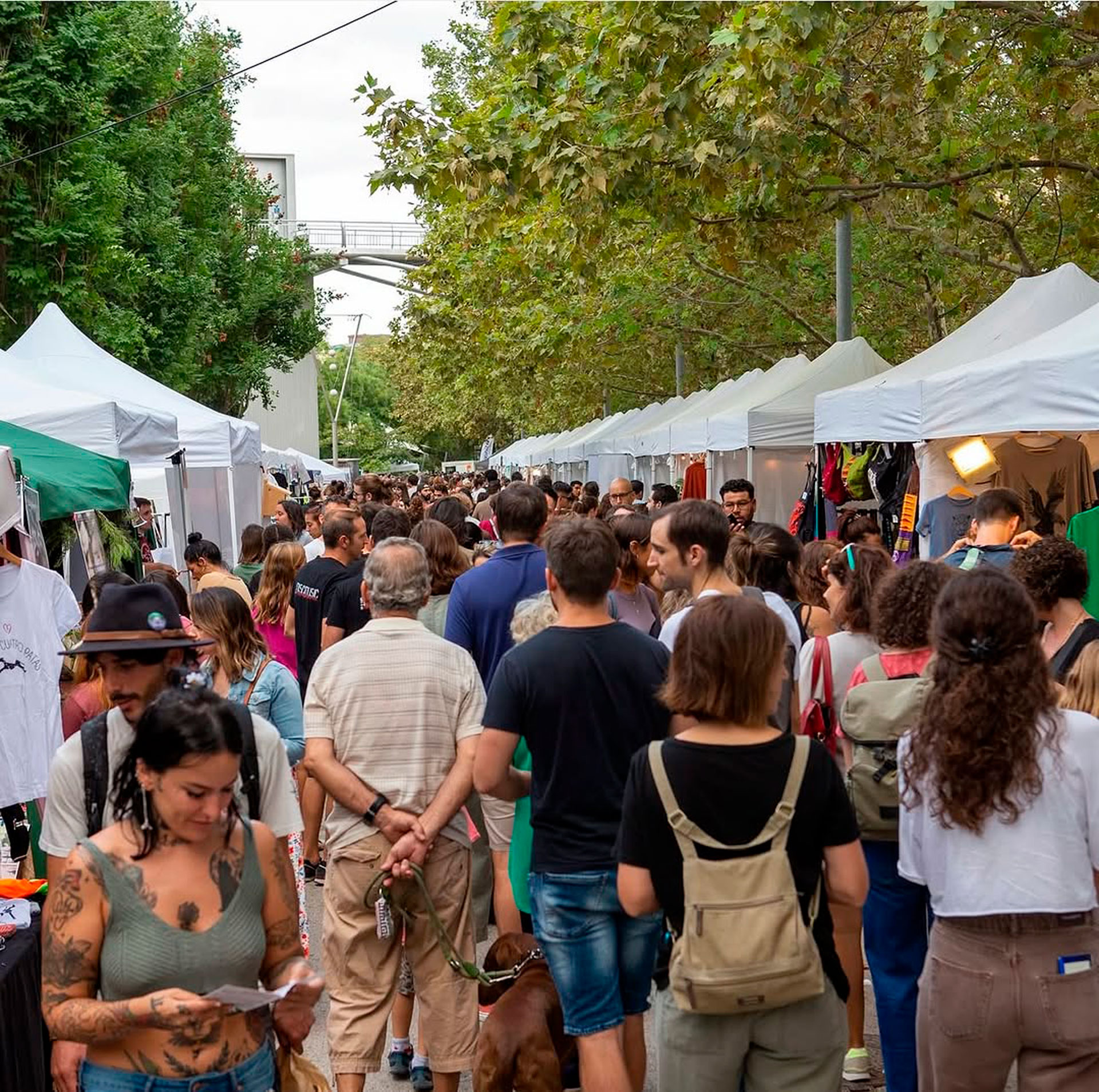 Vegan Fest Catalunya (Foto: veganfest.cat)