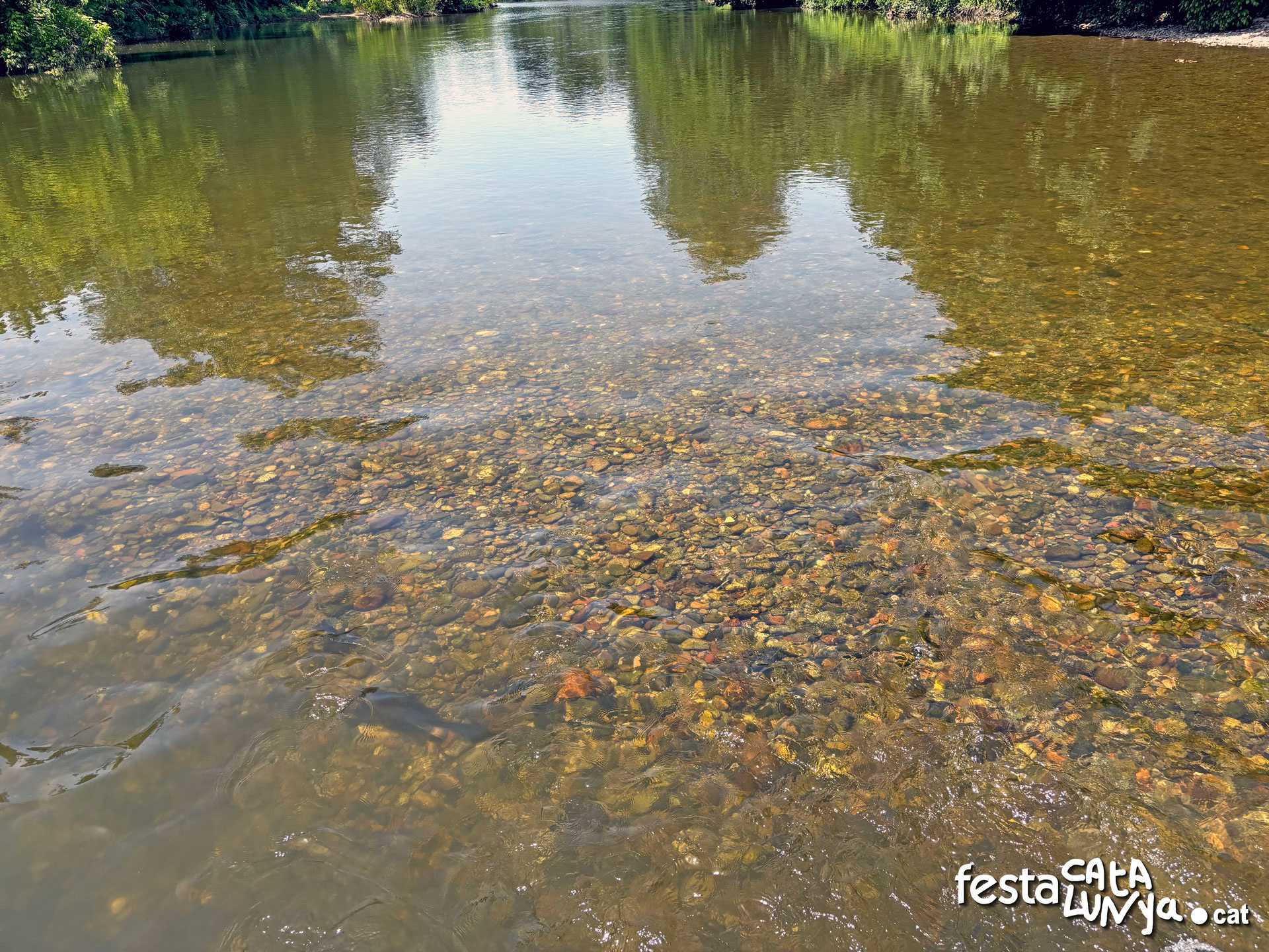 Cervià de Ter - Els arenys i les ribes del Ter