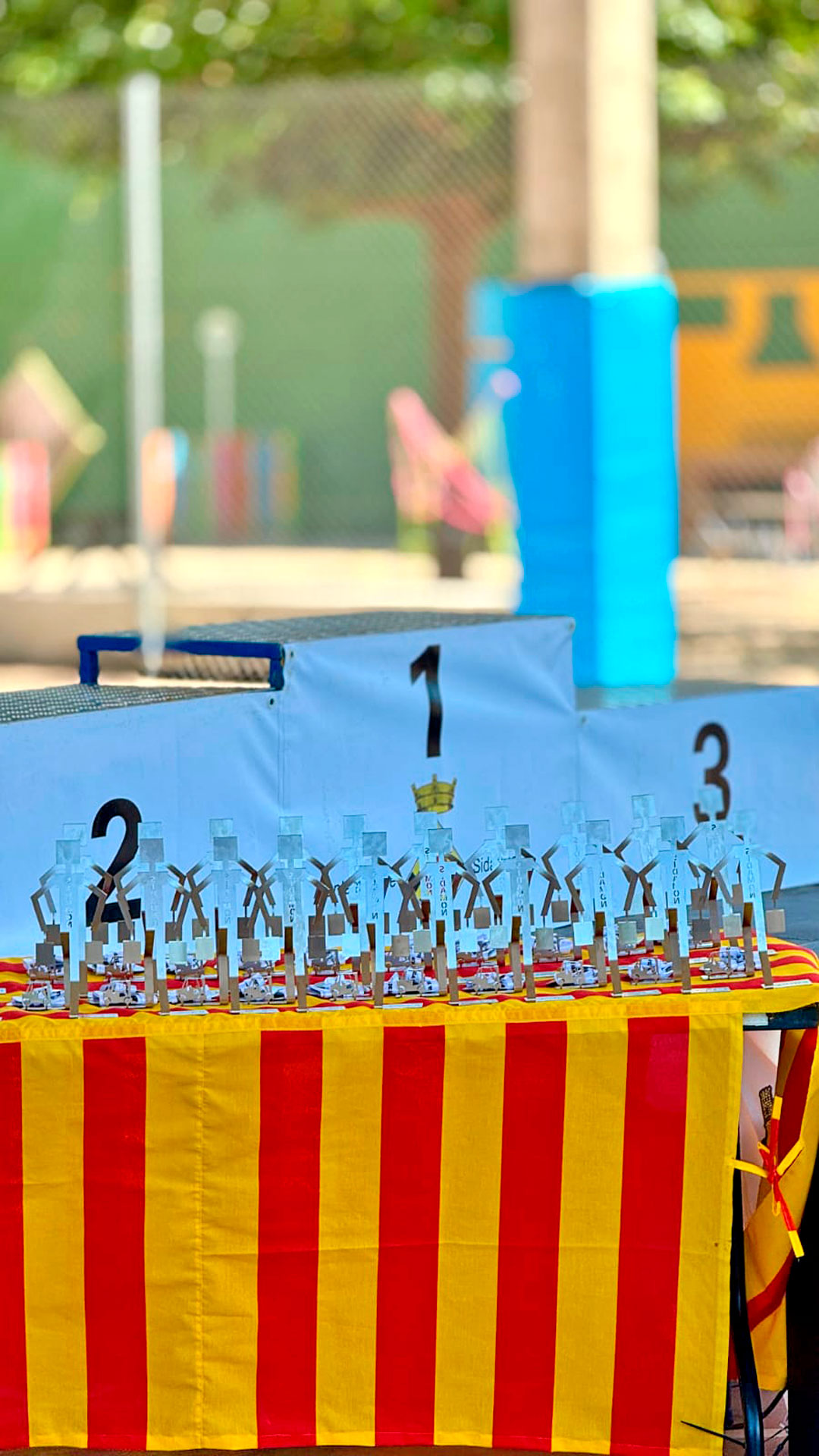 Cursa Tossal de les Tenalles - Sidamon (Foto: Ajuntament)
