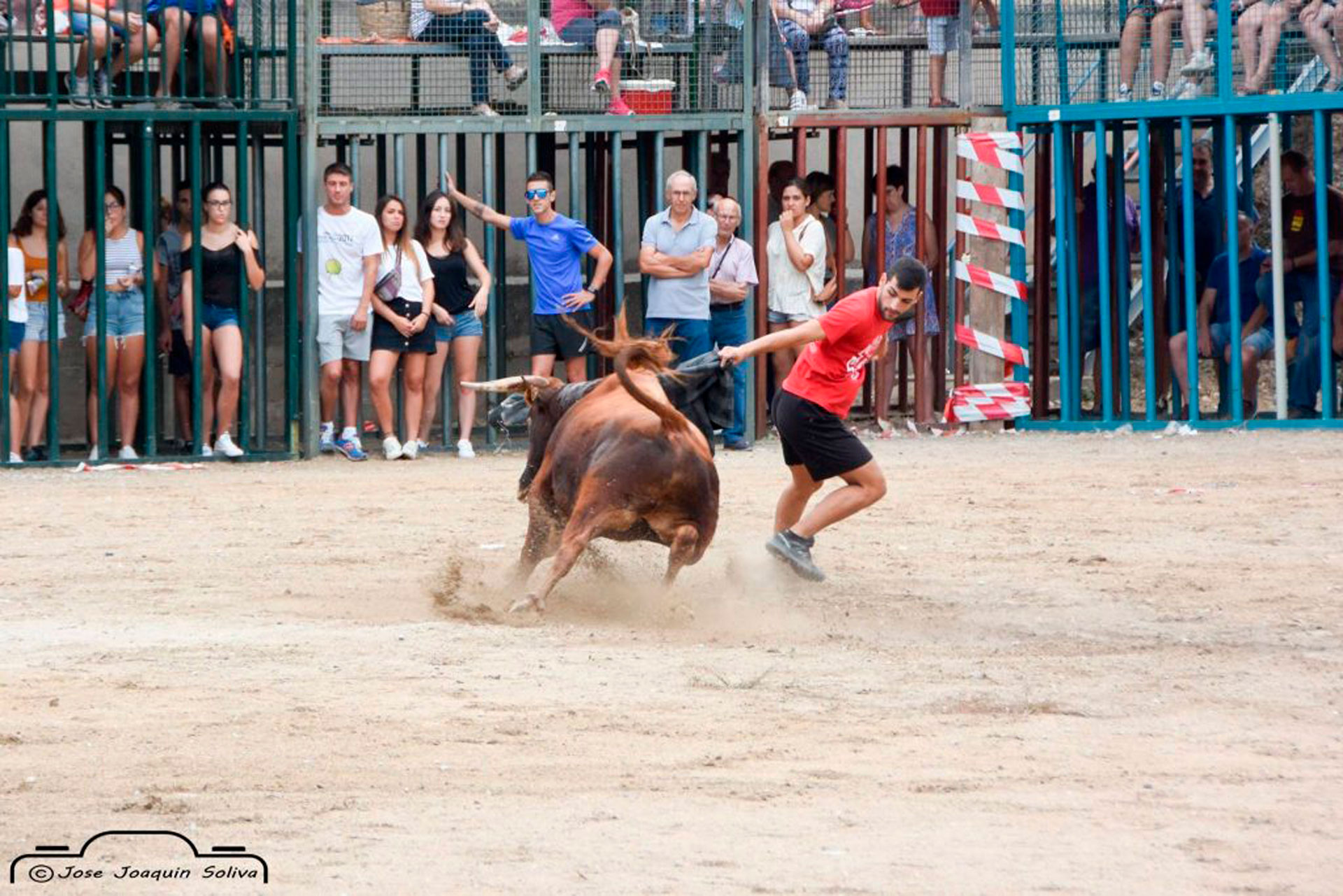 Festes Majors - La Sénia (Foto: José Joaquin Soliva)