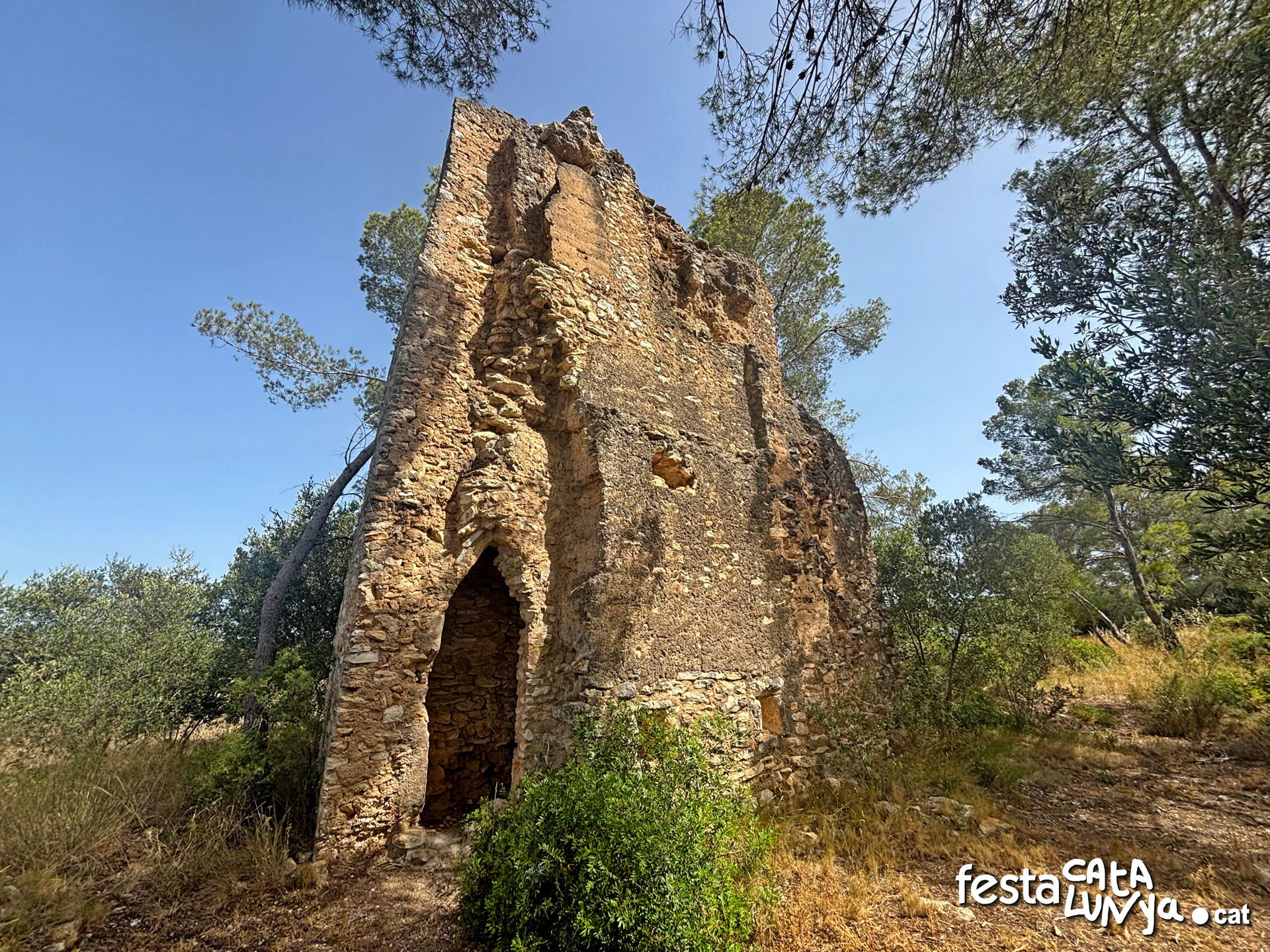 El Castellot o castell de Perafort dels Pallaresos