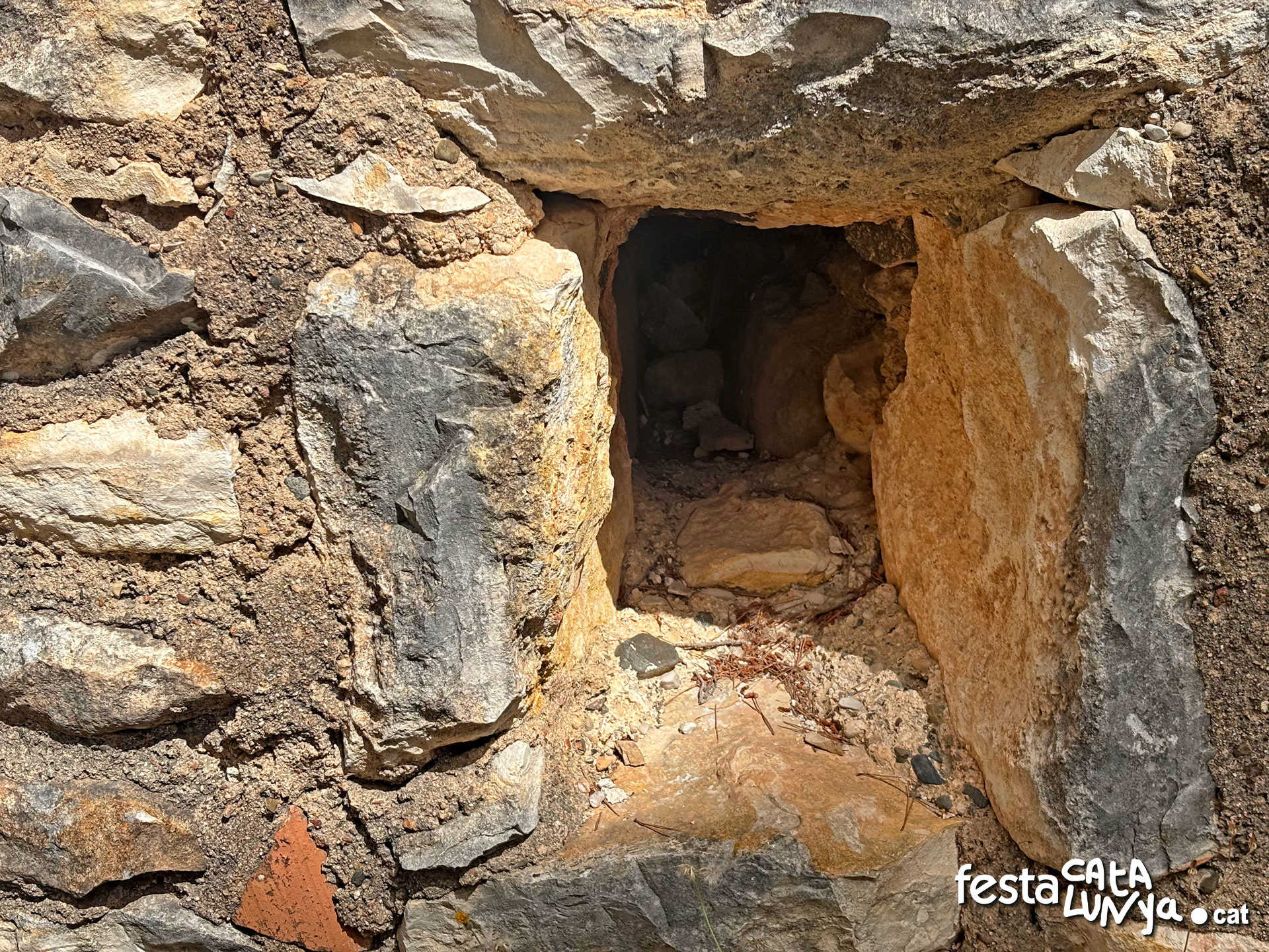 Els Pallaresos - El Castellot o castell de Perafort
