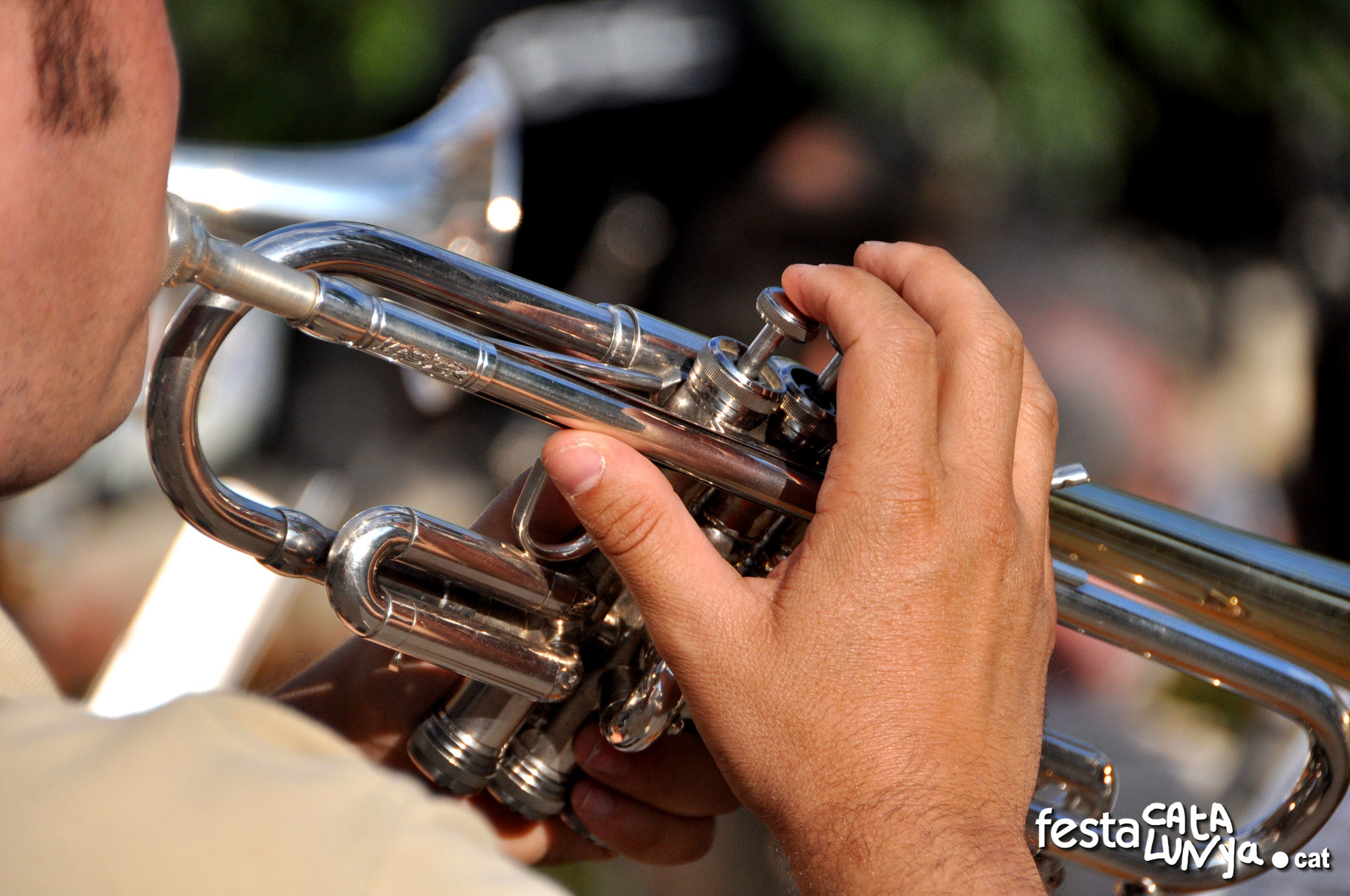 Festa Major de Vallclara