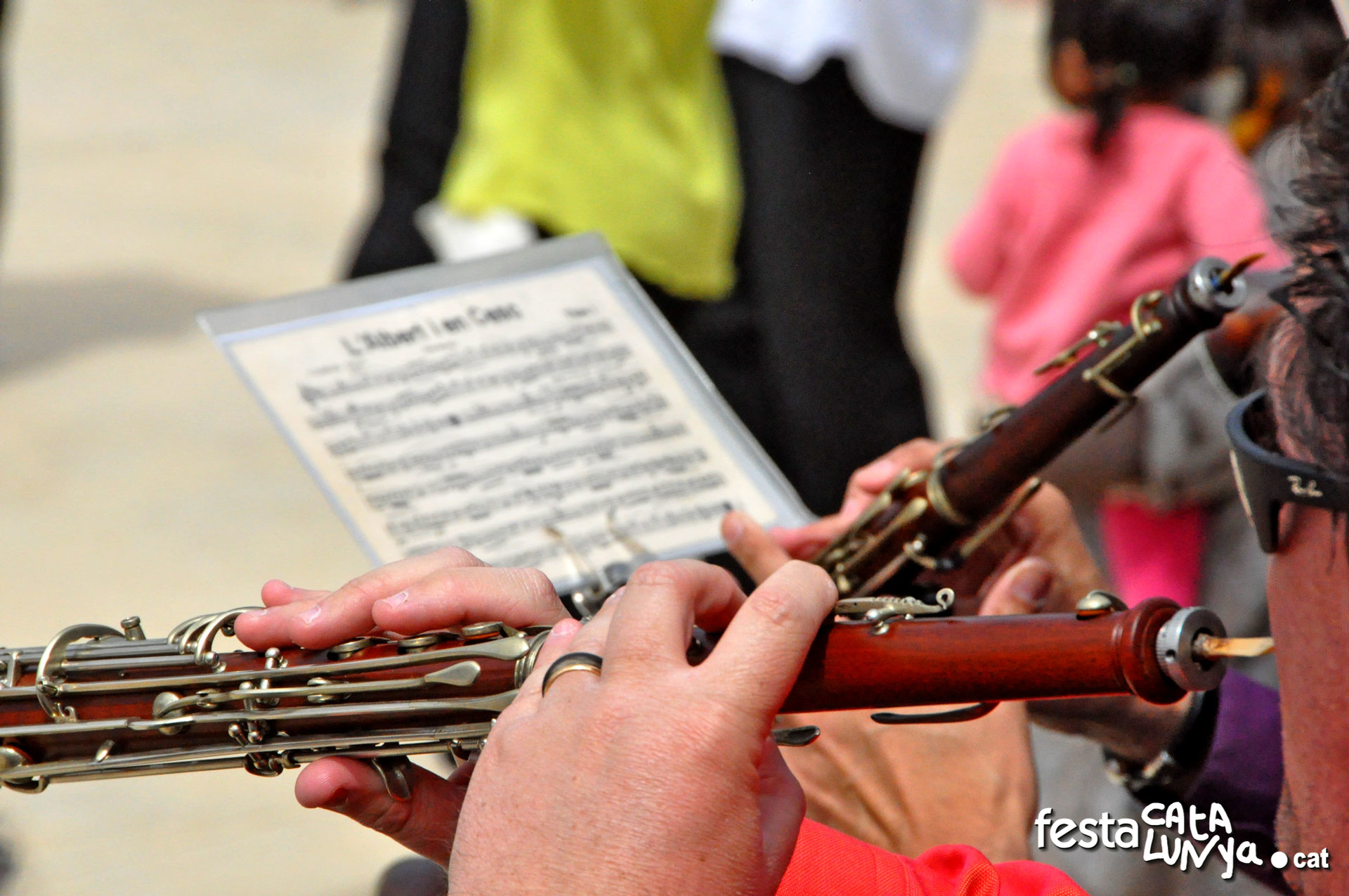Festes Majors d'Arnes