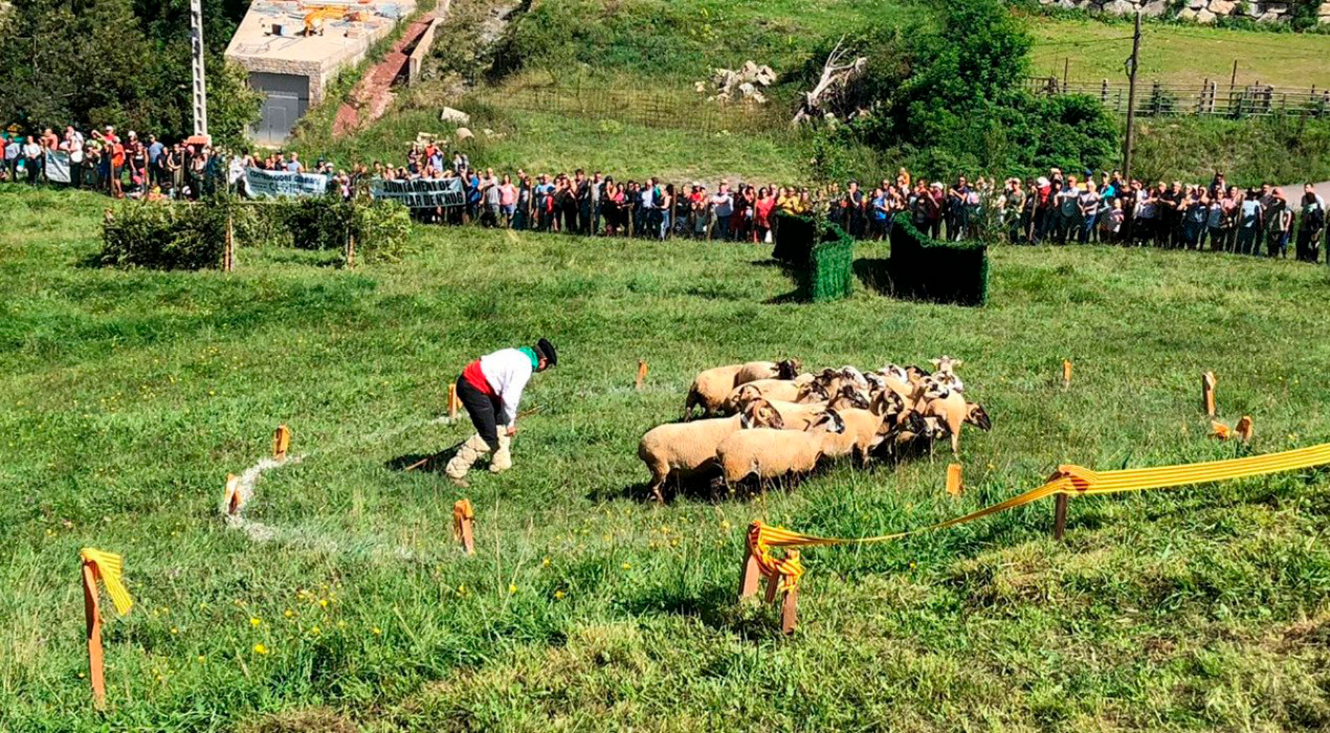 Concurs de Gossos d'Atura de Castellar de n'Hug