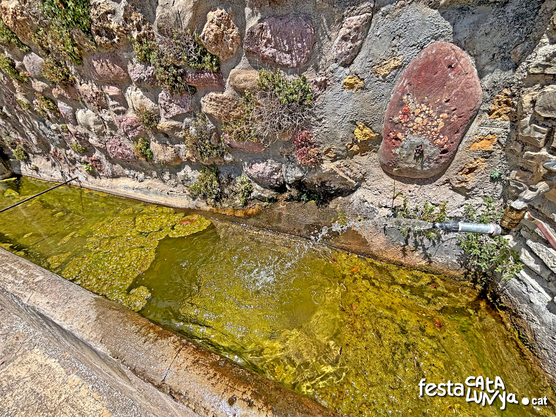 Safareig, font i abeurador de Burguet - Senterada