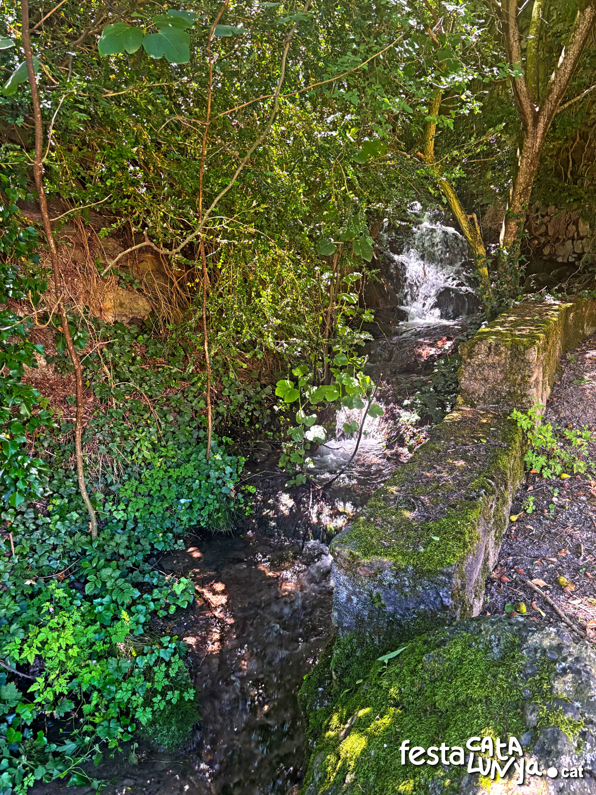 Safareig de Lluçà - Senterada