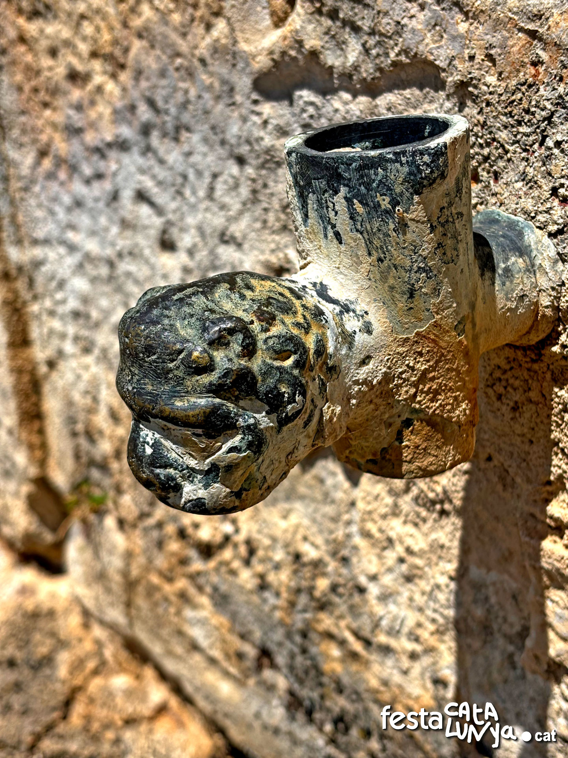 Font i cóm o abeurador de Puigcerver - Senterada