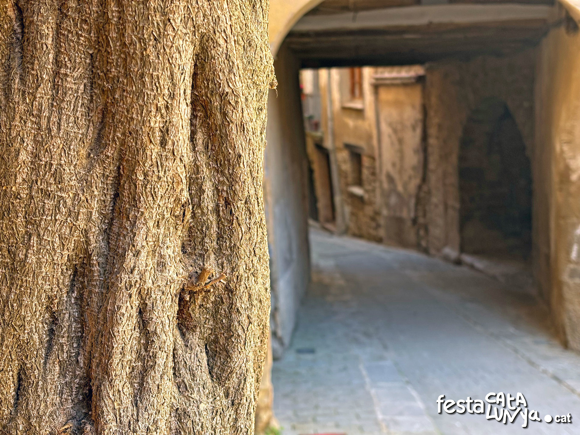 Torà - Plaça Major o plaça porxada de l'Església