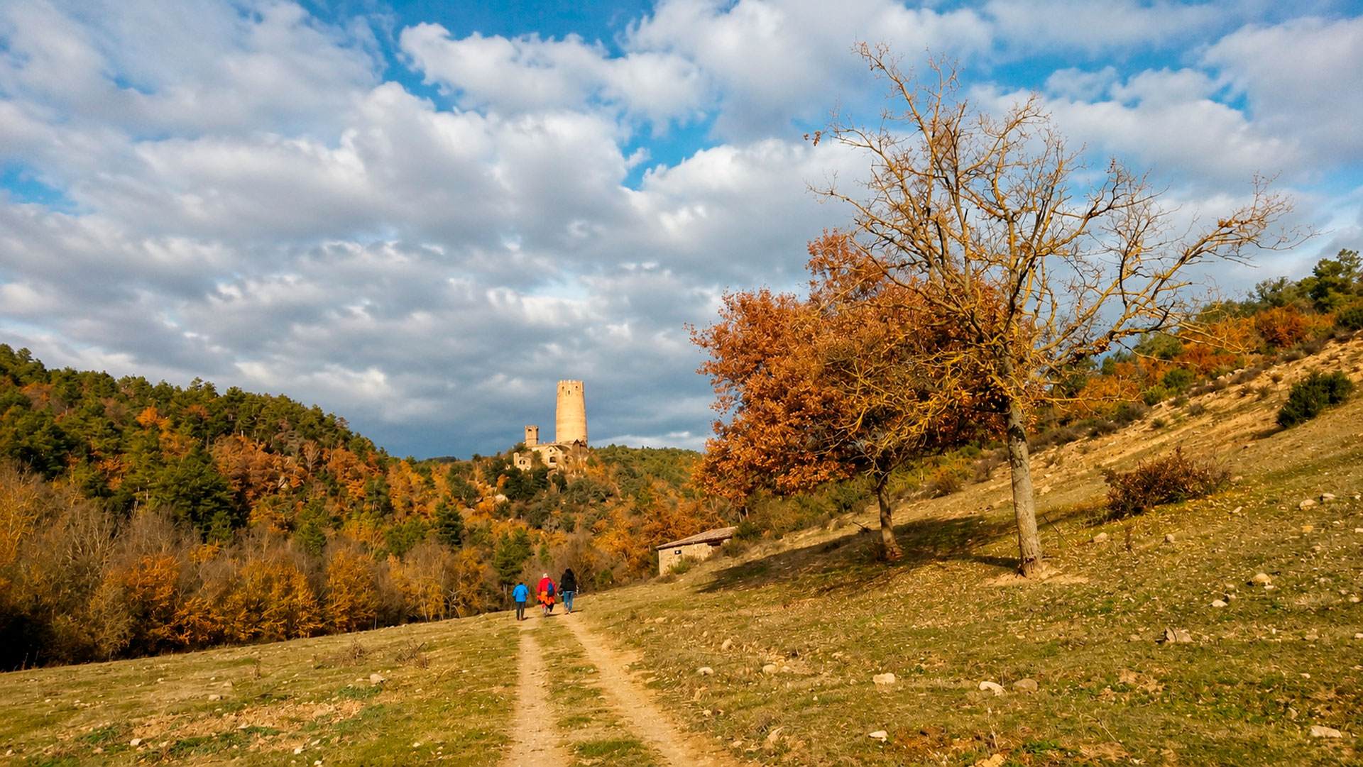 Torà - Torre de Vallferosa (Foto: Ajuntament)