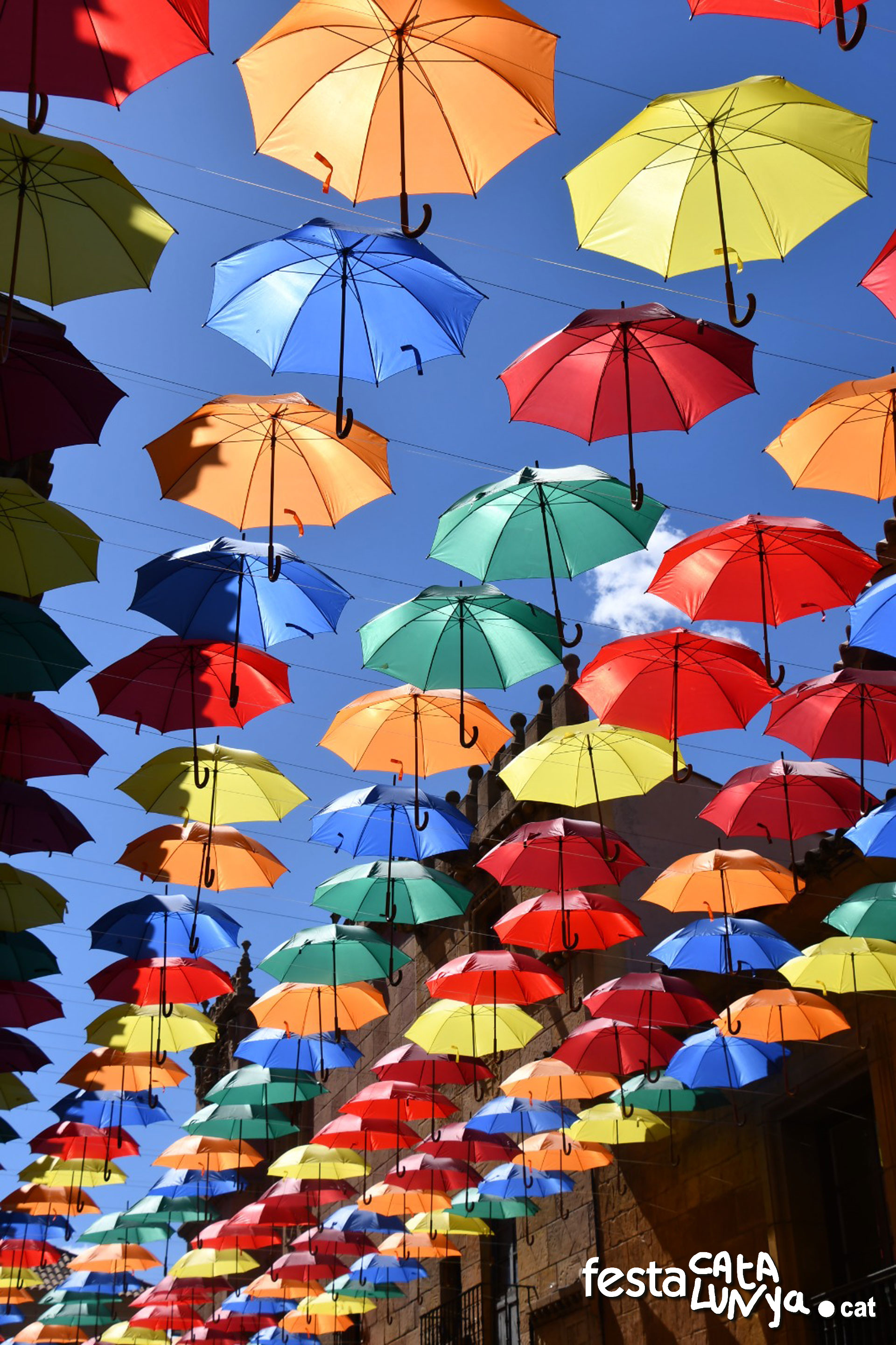 Sanaüja sota la pluja de colors