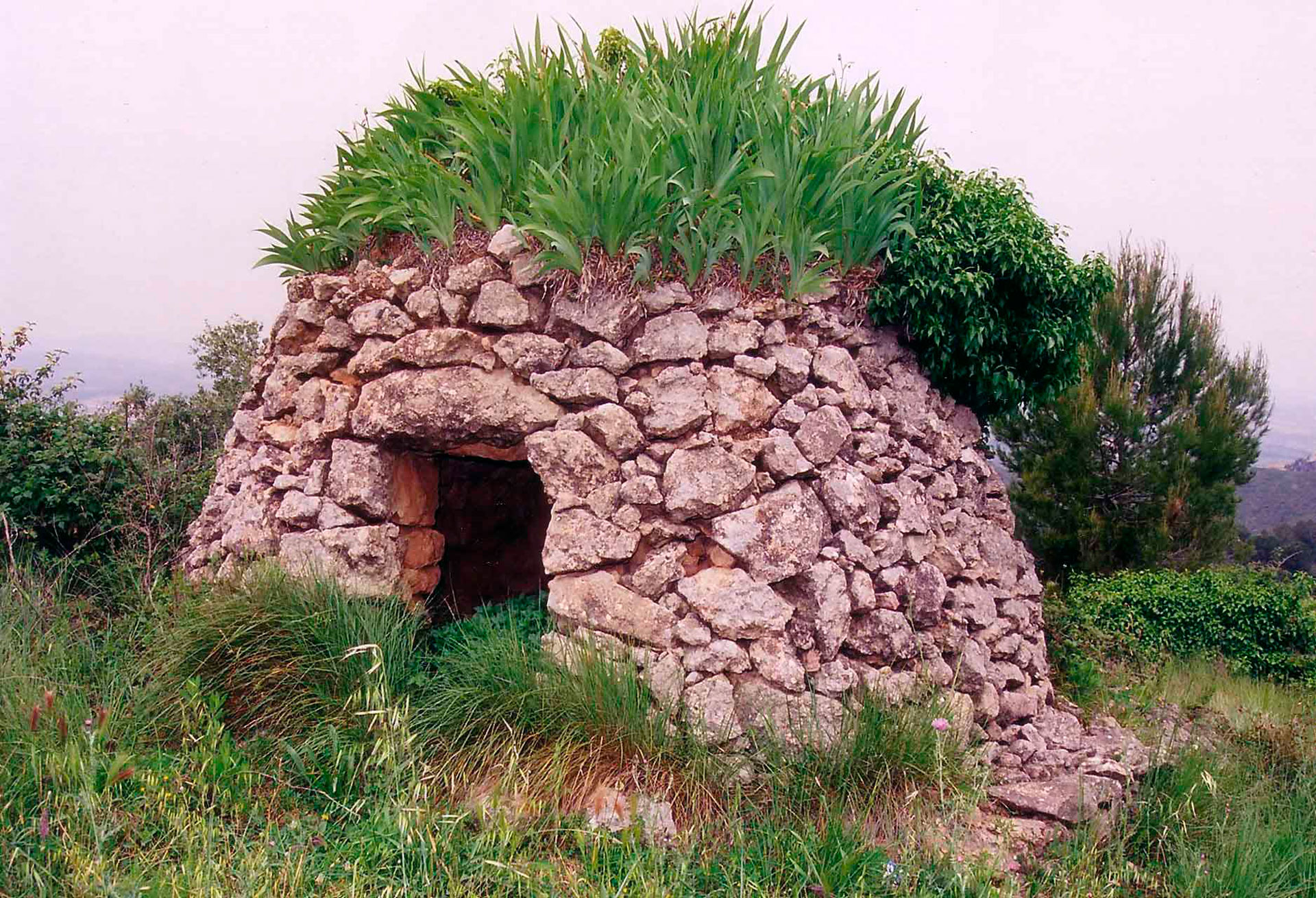 Caminada de la Pedra Seca - Subirats (Foto: Ajuntament)
