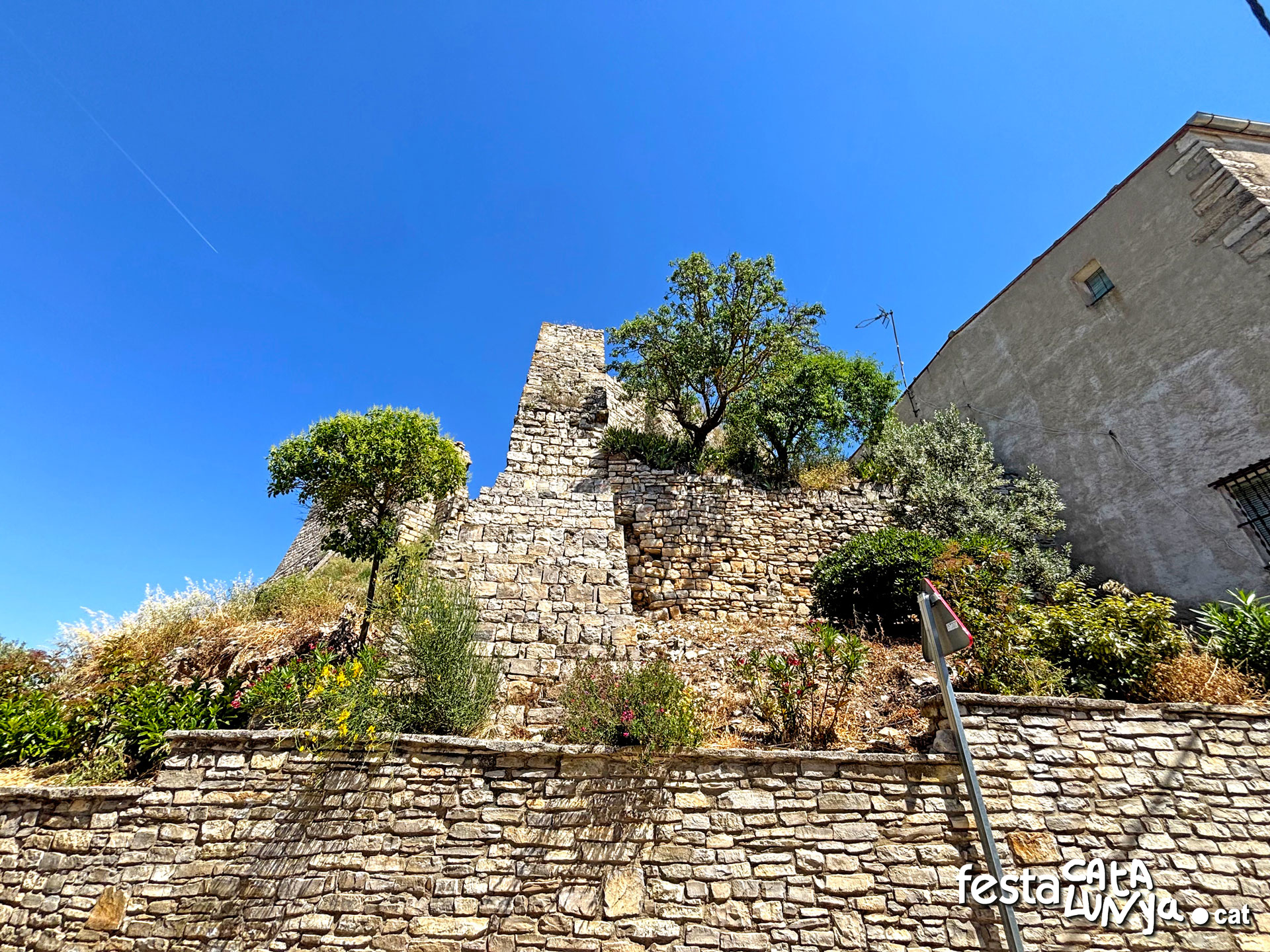 Castell - Montoliu de Segarra