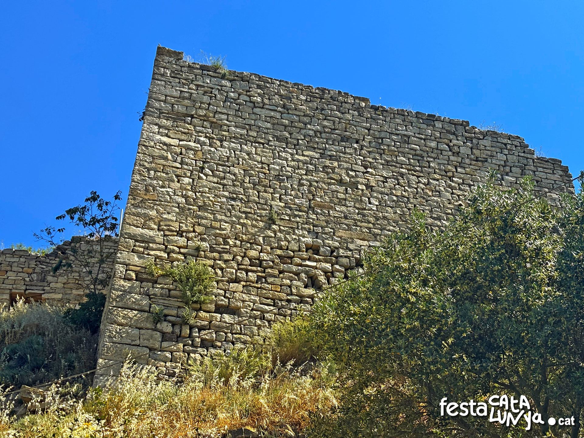 Castell - Montoliu de Segarra