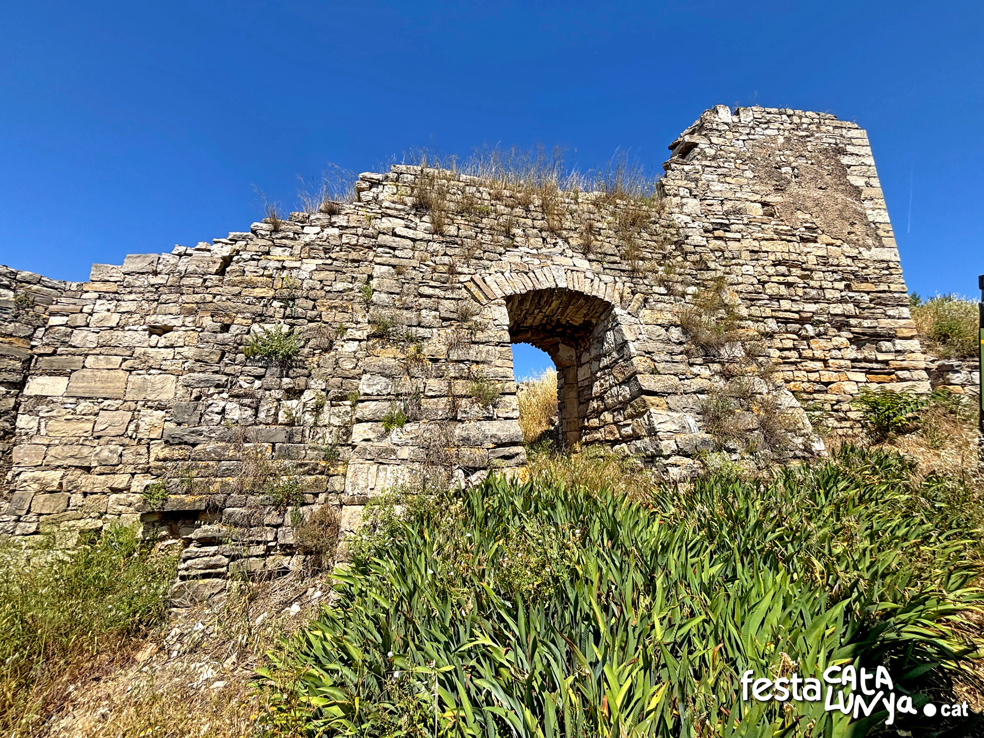 Castell - Montoliu de Segarra