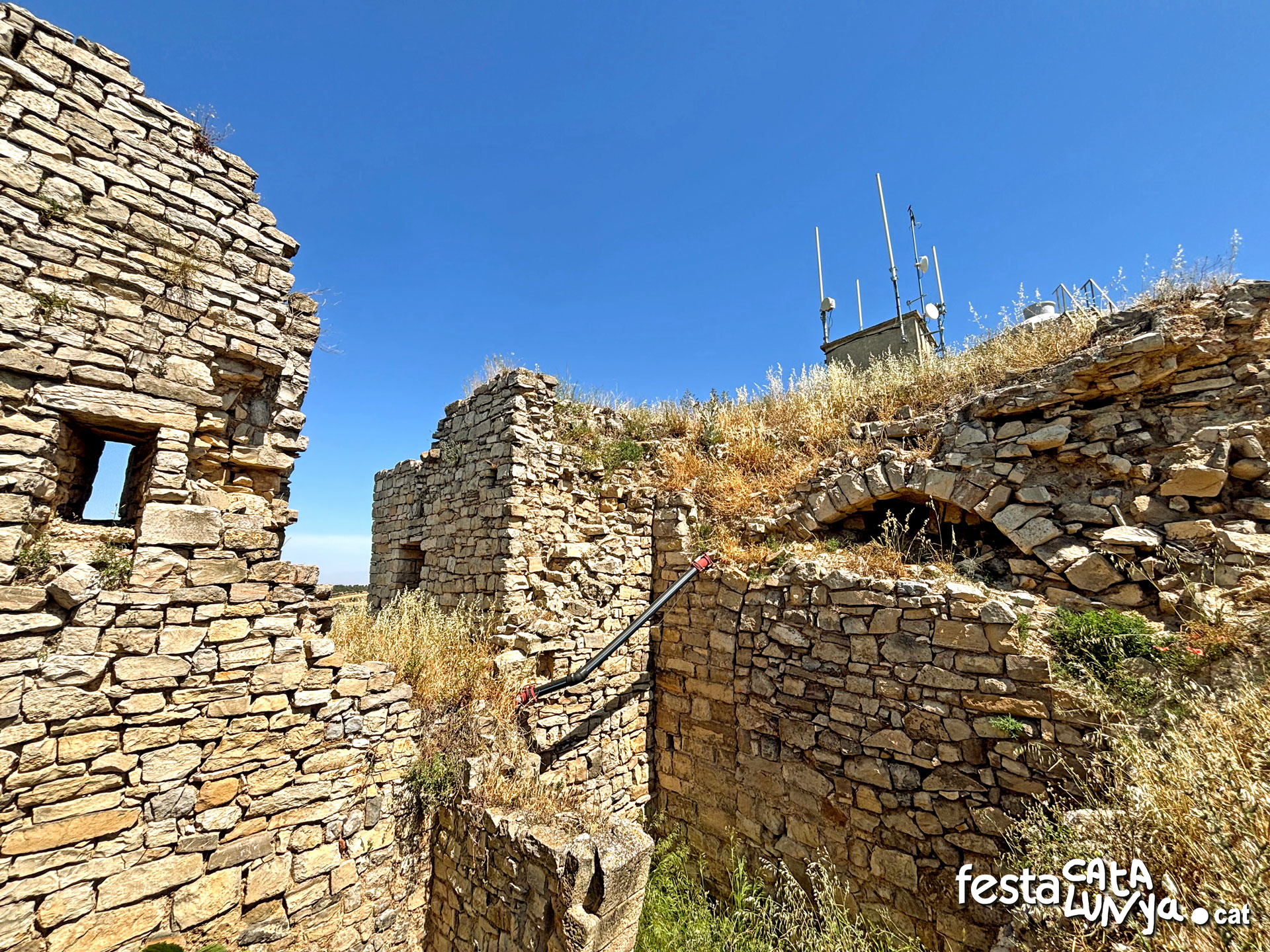 Castell - Montoliu de Segarra
