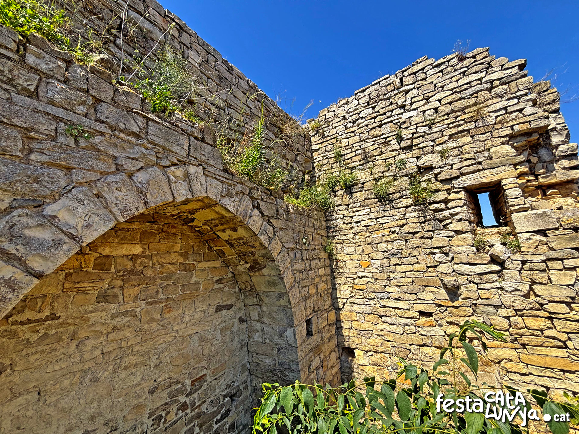 Castell - Montoliu de Segarra