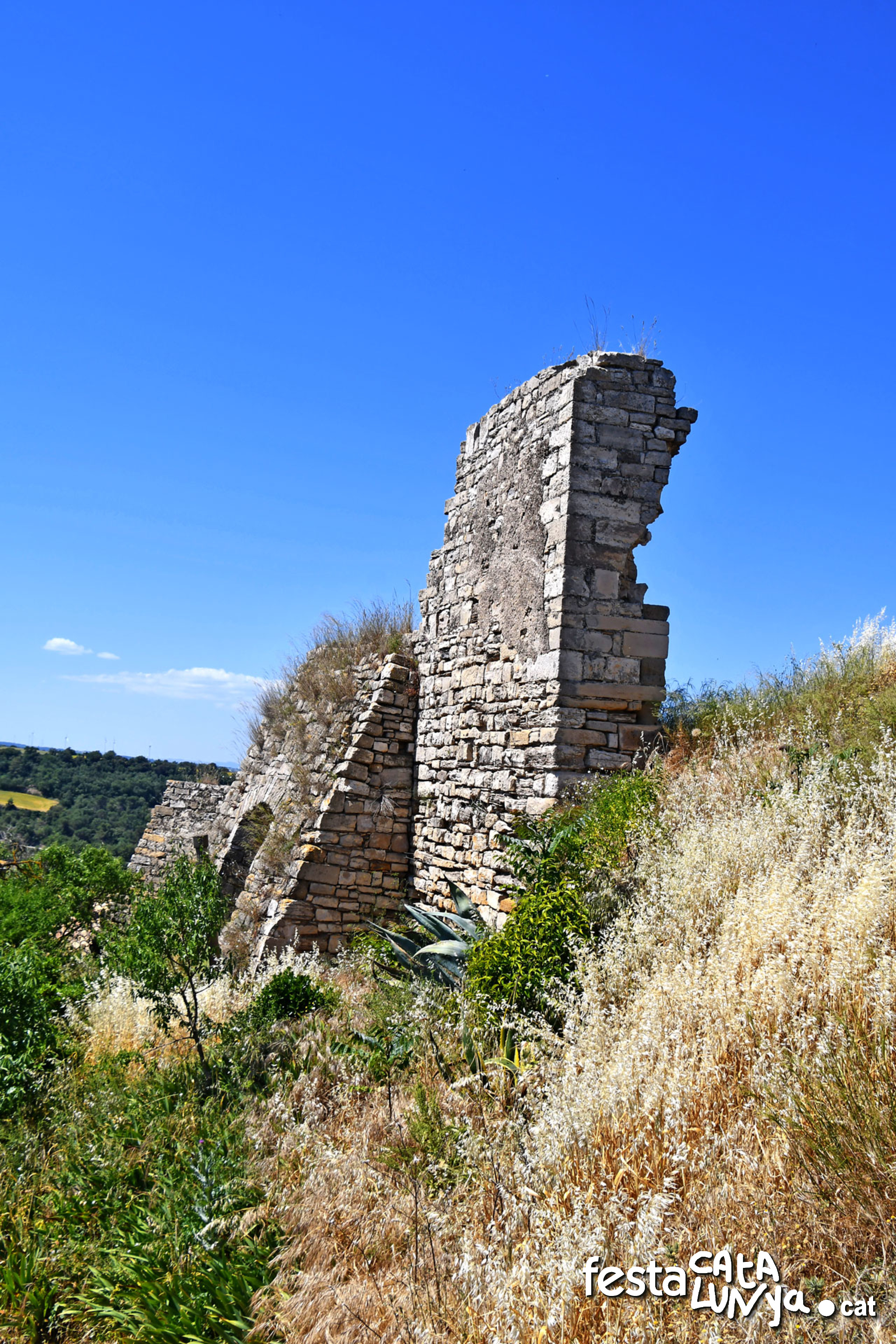 Castell - Montoliu de Segarra