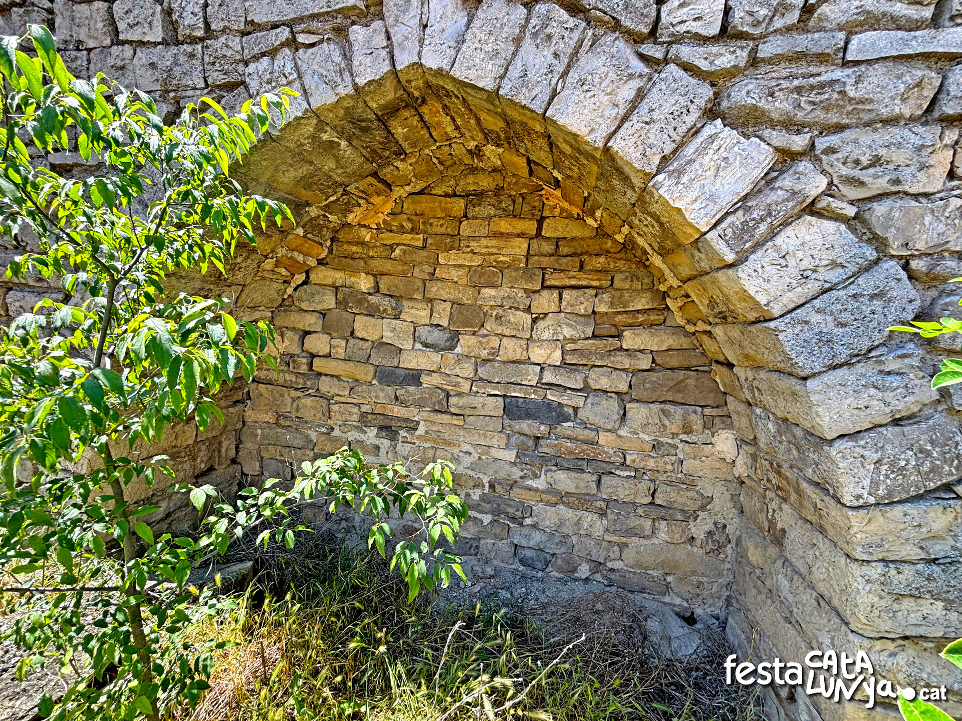 Castell - Montoliu de Segarra