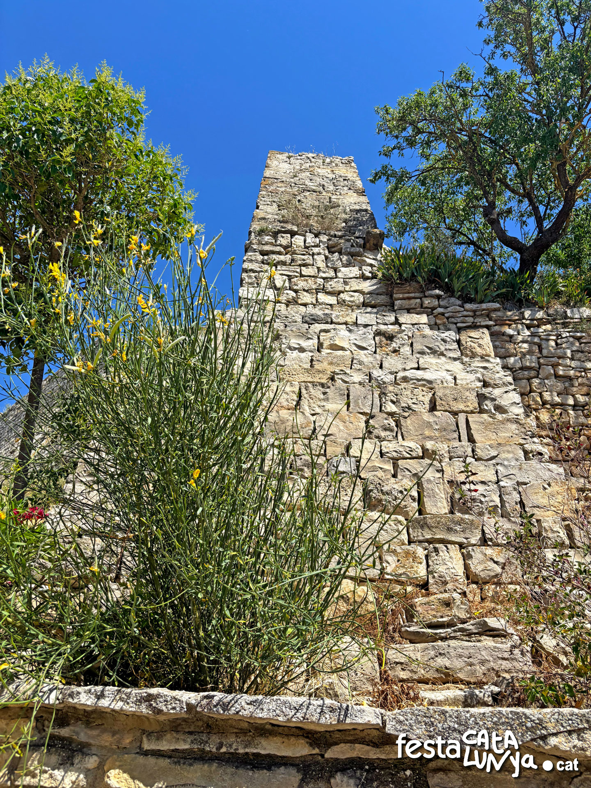 Castell - Montoliu de Segarra