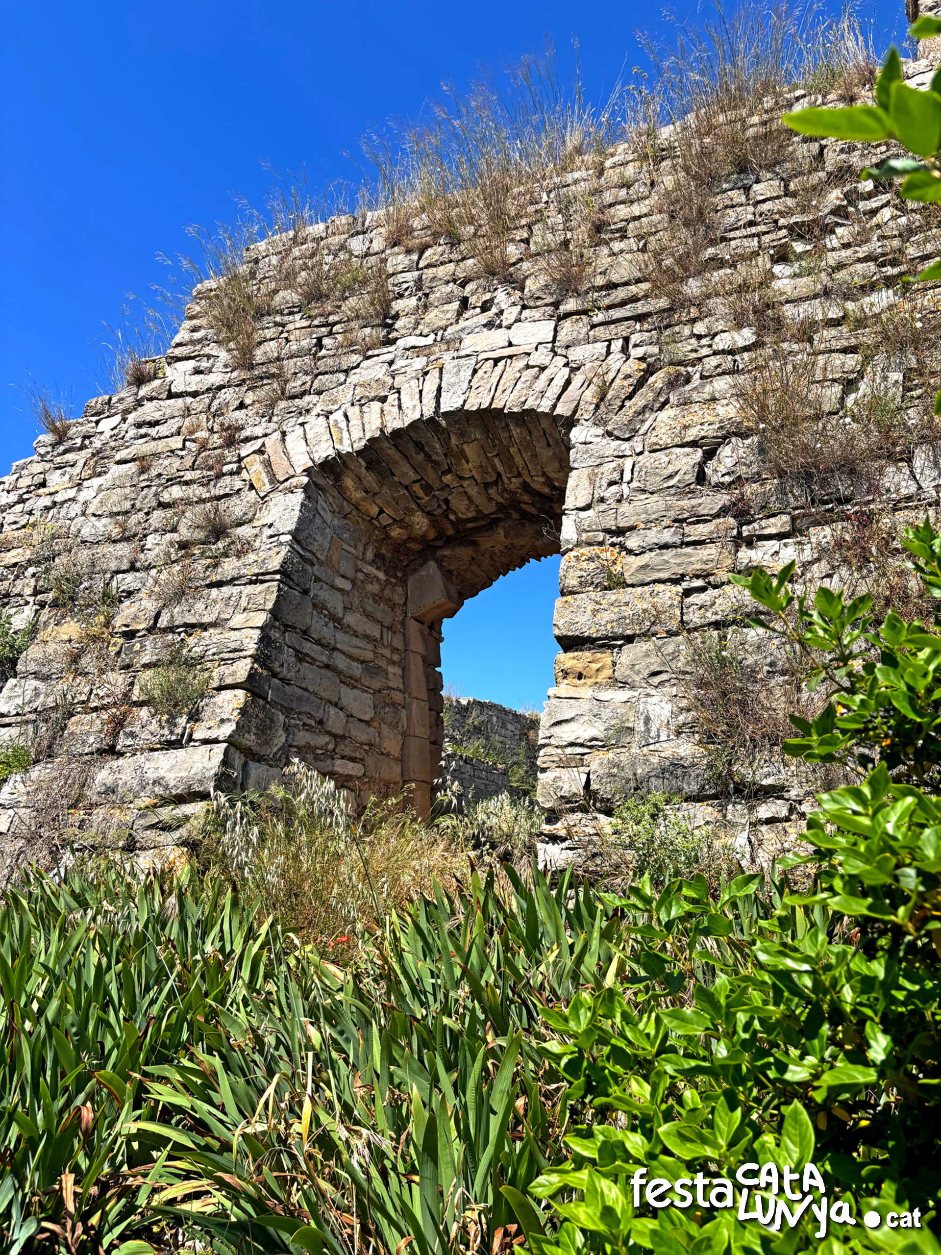 Castell - Montoliu de Segarra