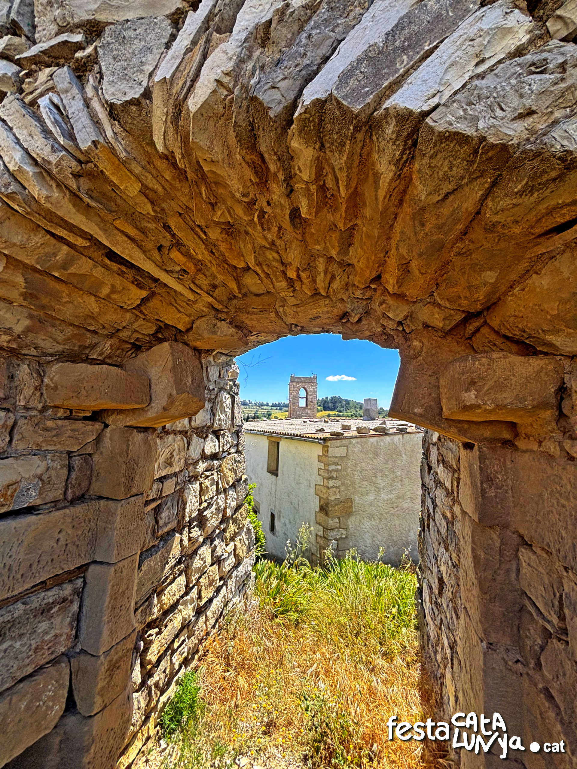 Castell - Montoliu de Segarra